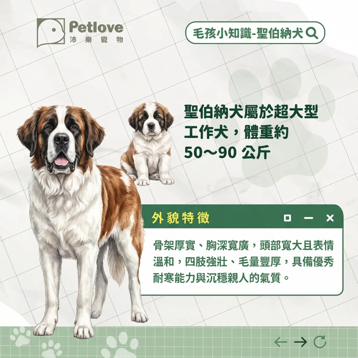 聖伯納犬介紹