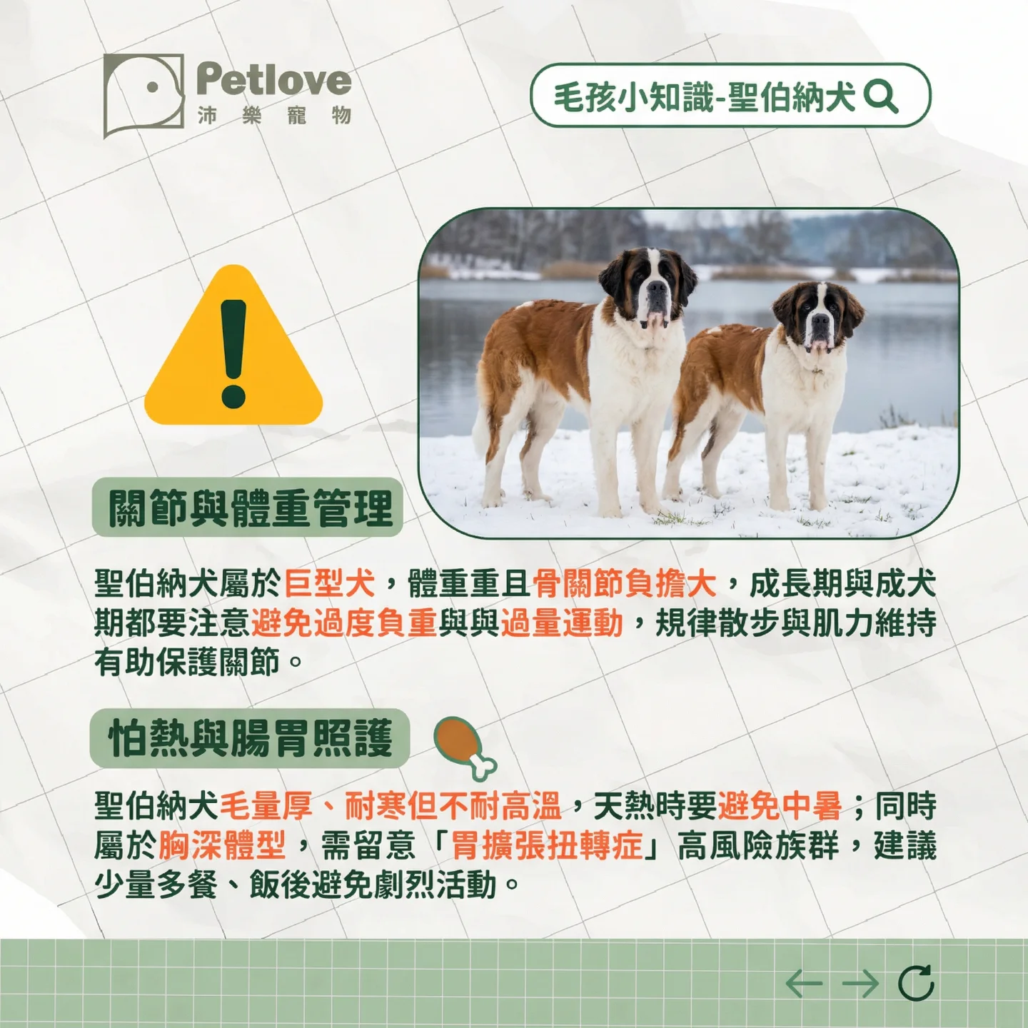 聖伯納犬介紹