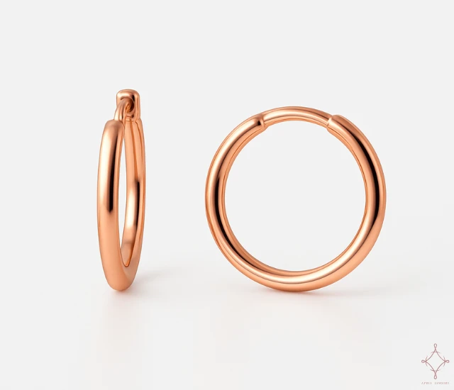 LE CERCLE｜18K法式小圈耳環