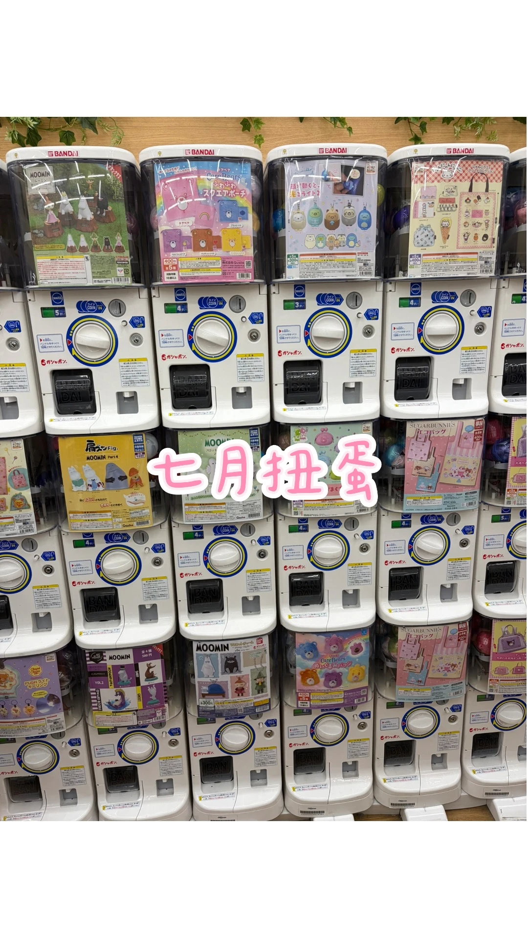 七月扭蛋