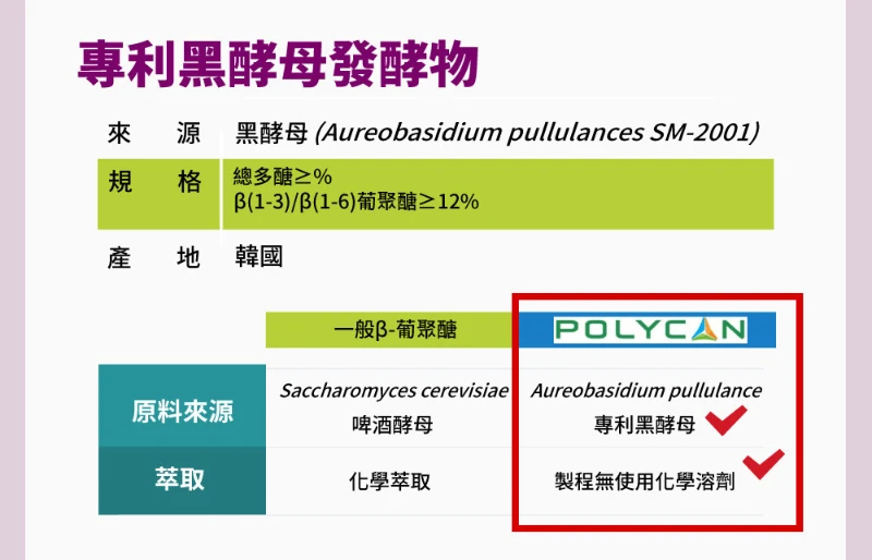 中化健康360 固營 肌力關鍵植物蛋白粉(15包/盒) 專利黑酵母