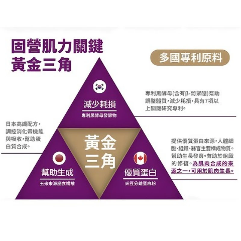中化健康360 固營 肌力關鍵植物蛋白粉(15包/盒) 金三角