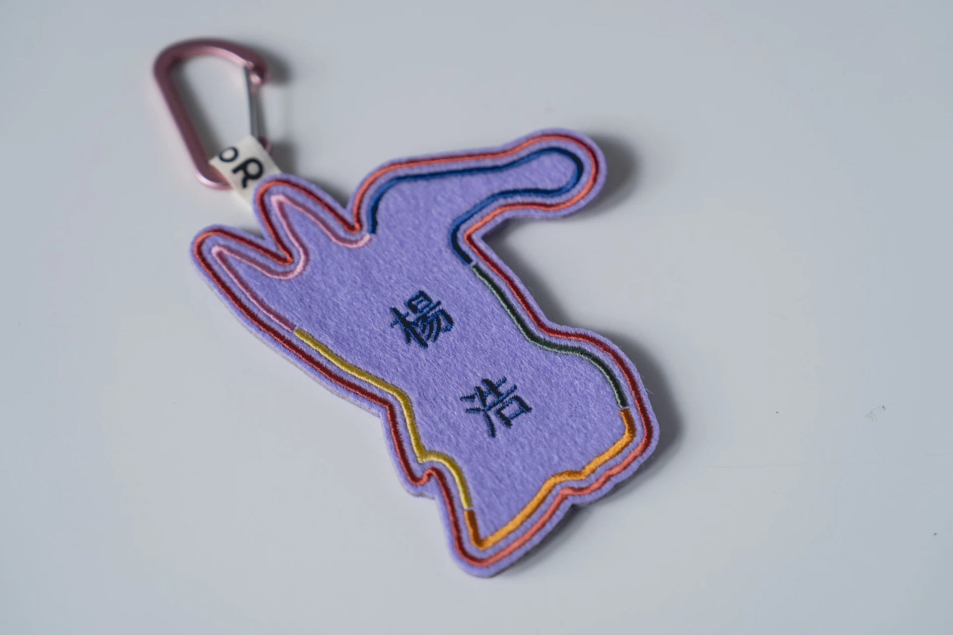 遠古翔天｜鳥掌翼龍