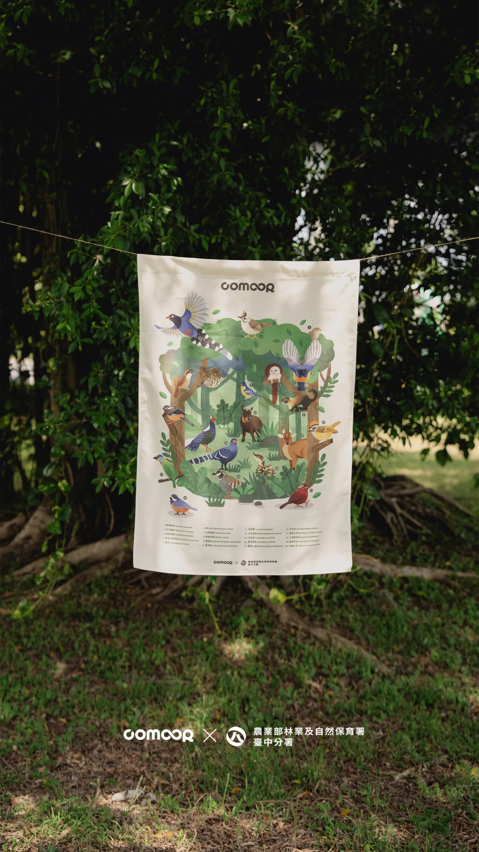 山林共好｜台灣特有種動物掛布