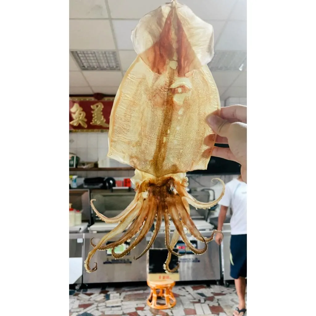 魷魚干｜整隻/切塊