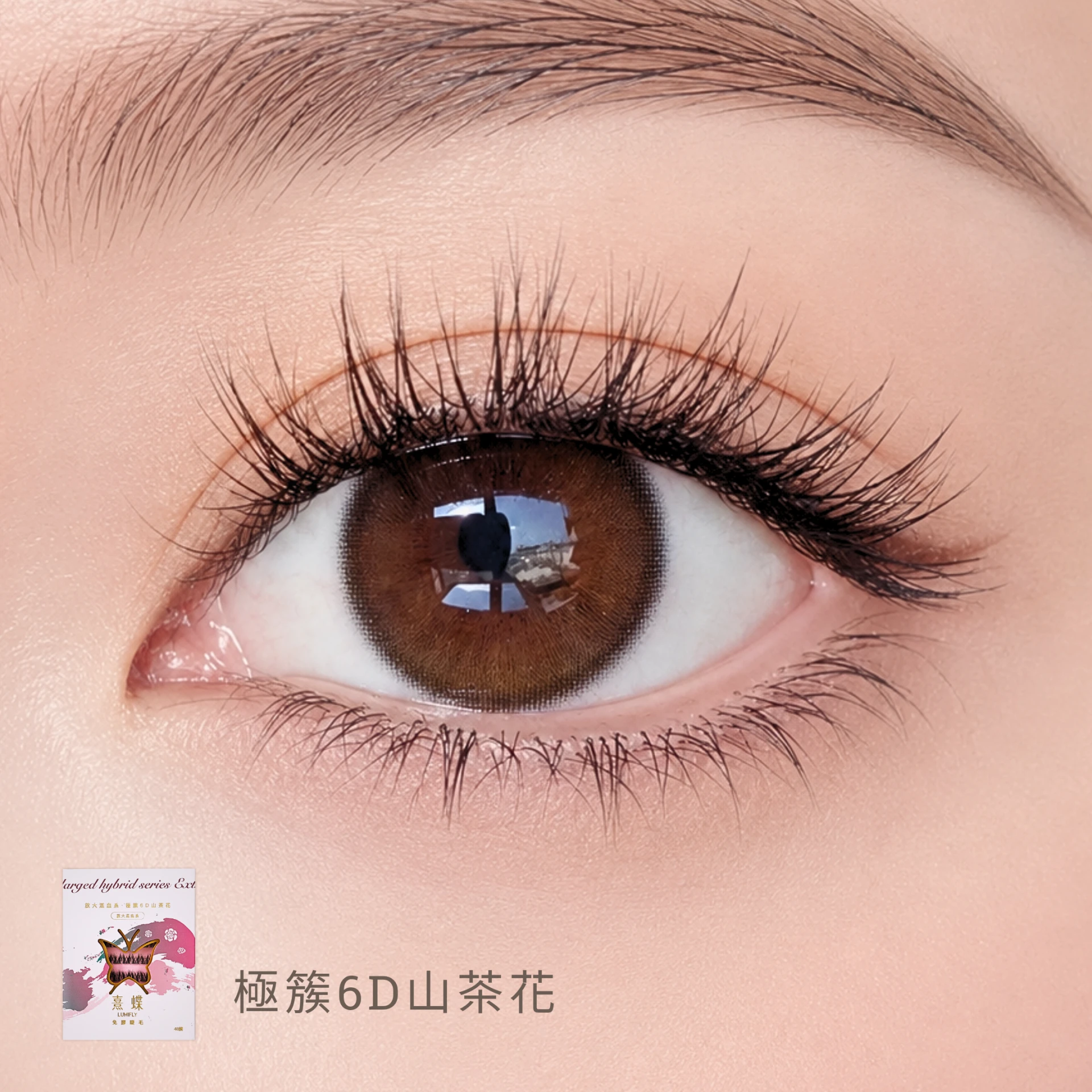 暮光流蘇+極簇6D山茶花3