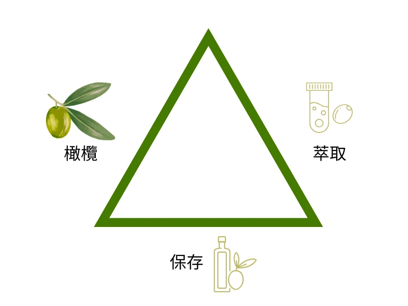 頂級初榨橄欖油的整體品質取決於…