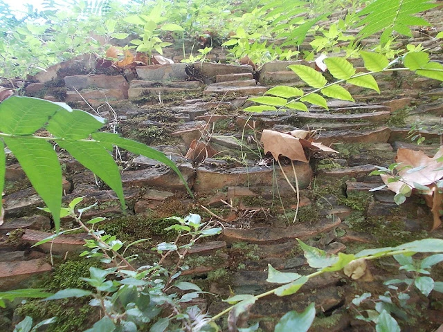 從貝提卡到陶片山—原來羅馬人是橄欖油狂熱分子