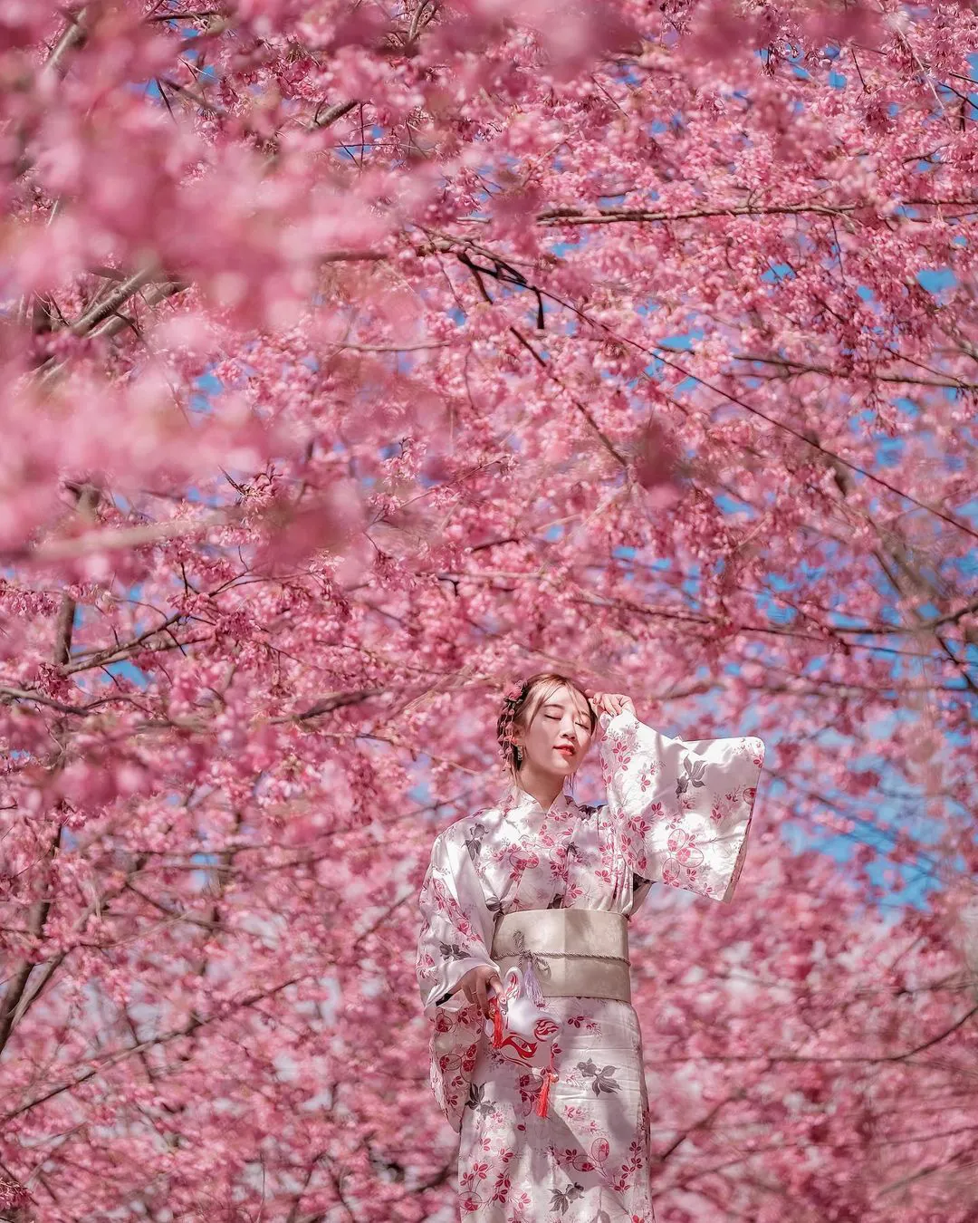 司馬庫斯花季二日|走進上帝的部落・神木群步道・賞花季限定 Smangus Spring Season 2-Day Tour | God’s Tribe • Giant Trees Trail • Seasonal Blossom Experience