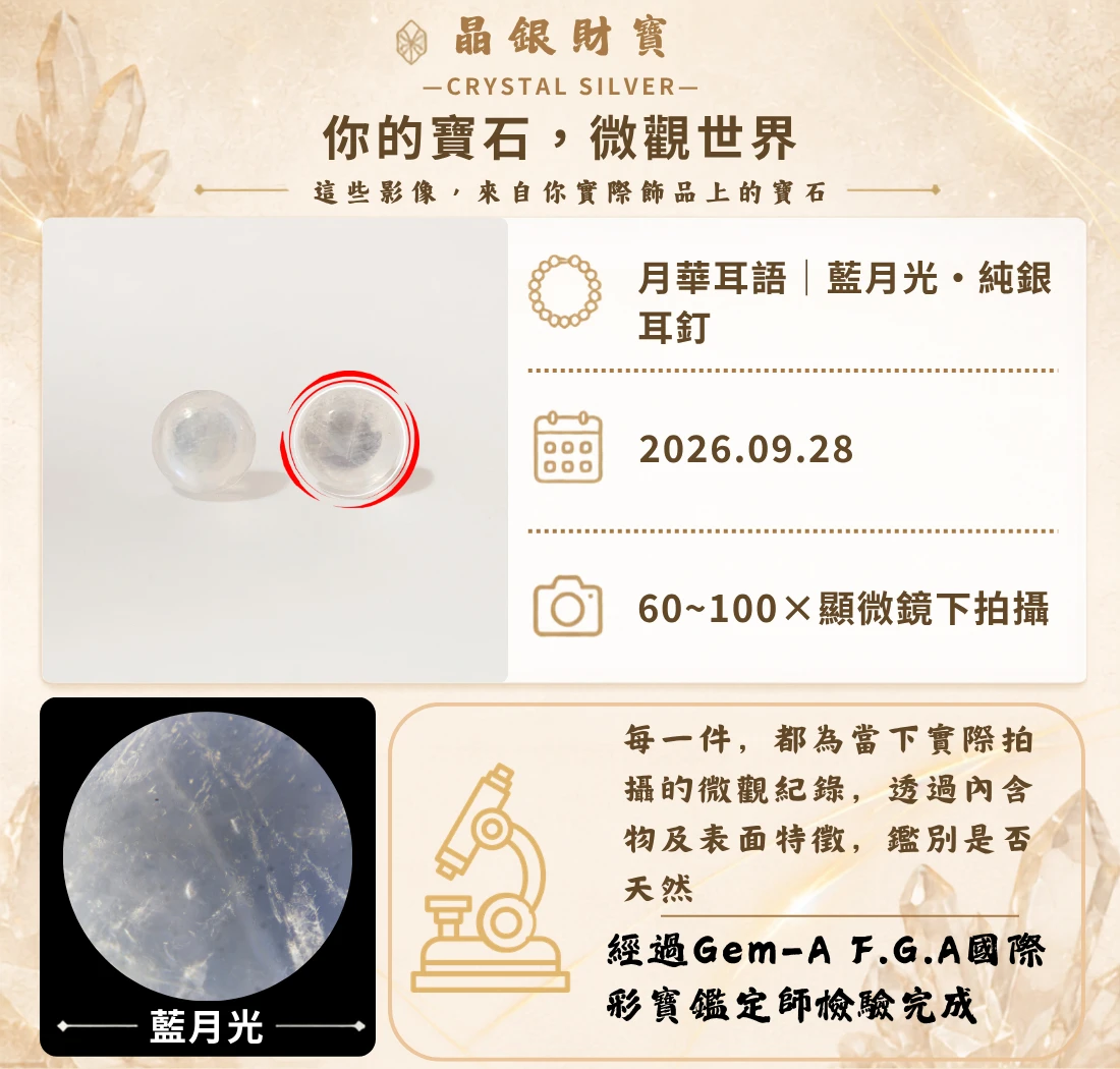 你的寶石‧微觀世界