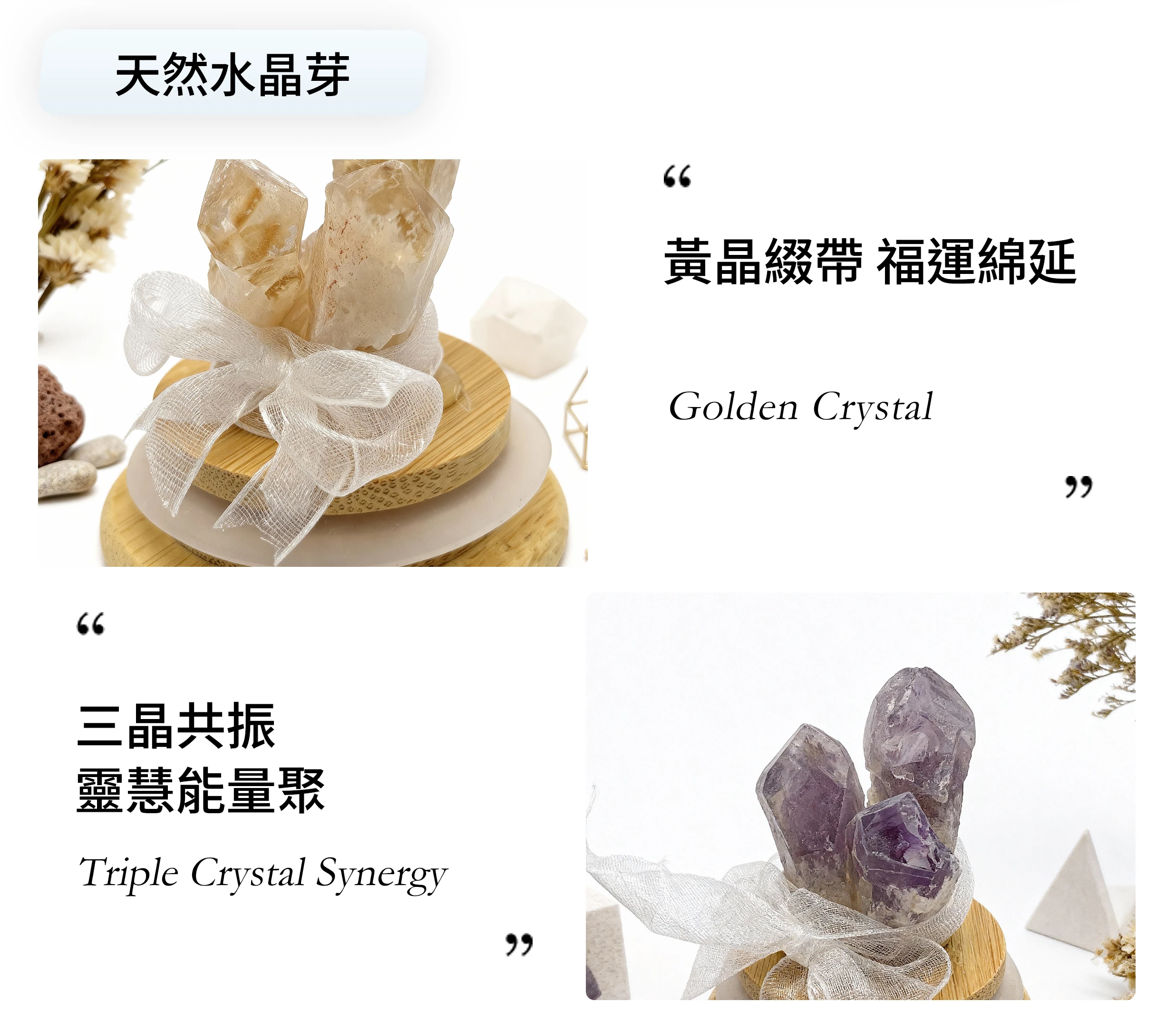 紫水晶與黃水晶礦石細節近拍，玻璃罩透明光澤與礦石色澤層次清晰呈現