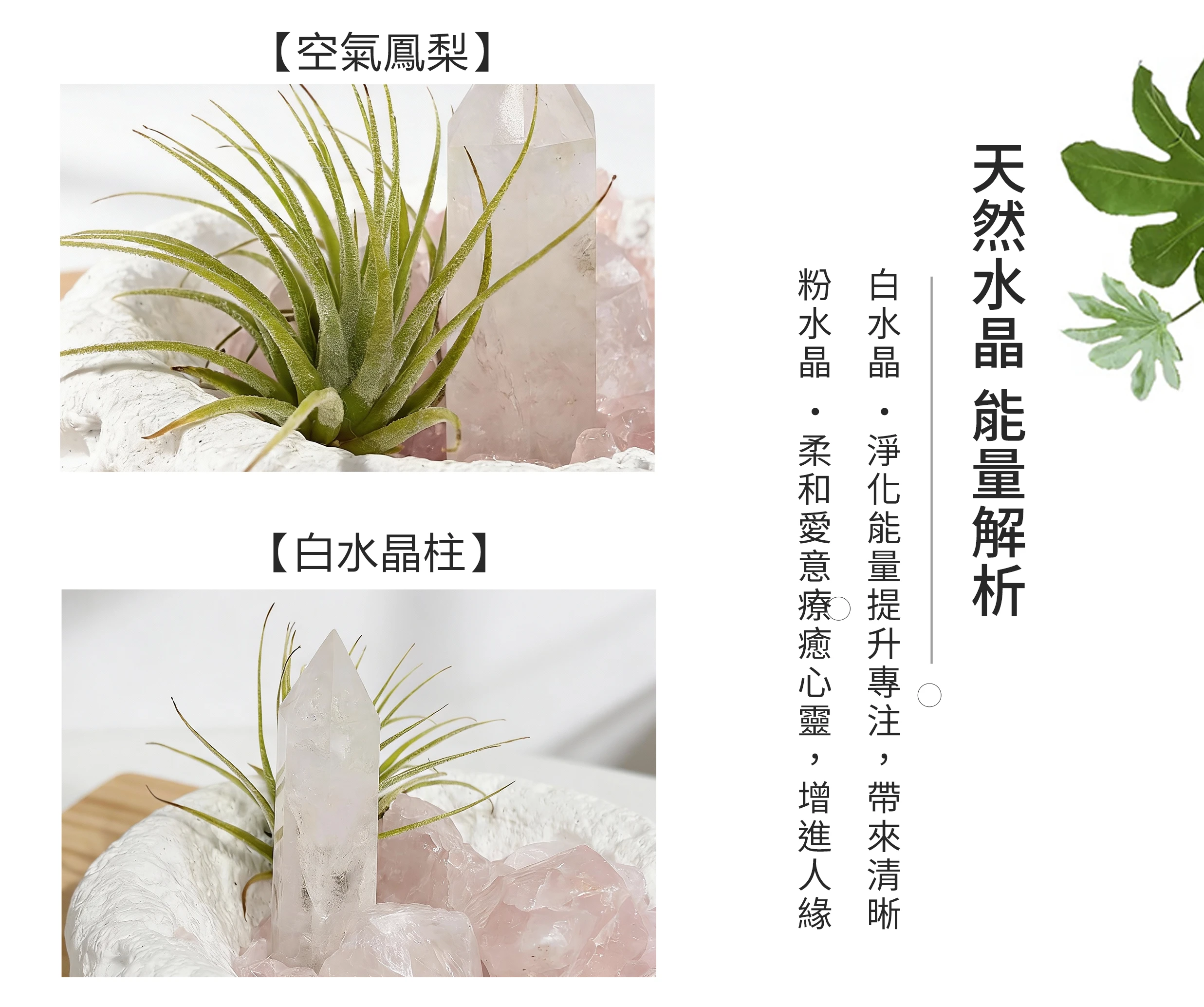 白水晶與粉晶礦石紋理細節近拍，搭配空氣鳳梨植栽與手作盆栽質感清晰呈現