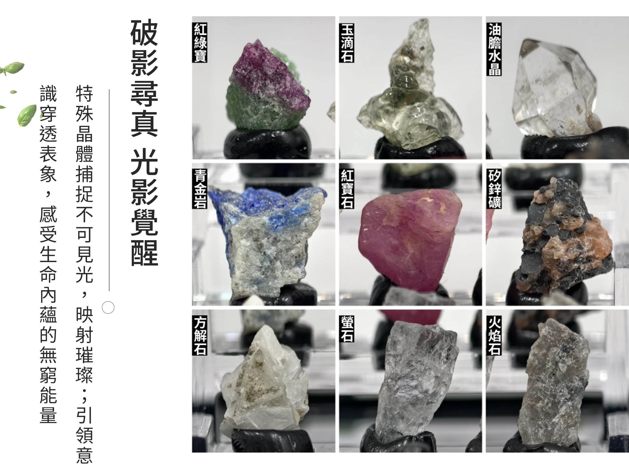 多種原礦微距特寫,展現青金岩的帝王藍與方解石的幾何晶體,對比油膽水晶內含的流動氣泡與紅寶石的深邃紅光,體現多礦物共生帶來的極致色彩張力與原生質地細節。