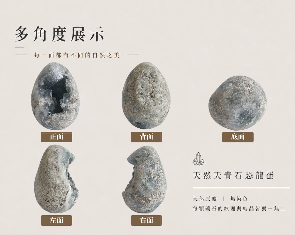 天青石恐龍蛋細節特寫：完整蛋形原礦包覆，內部佈滿通透的稜柱狀天青石結晶，展現天然形成的玻璃光澤與多層次的冰裂火光。