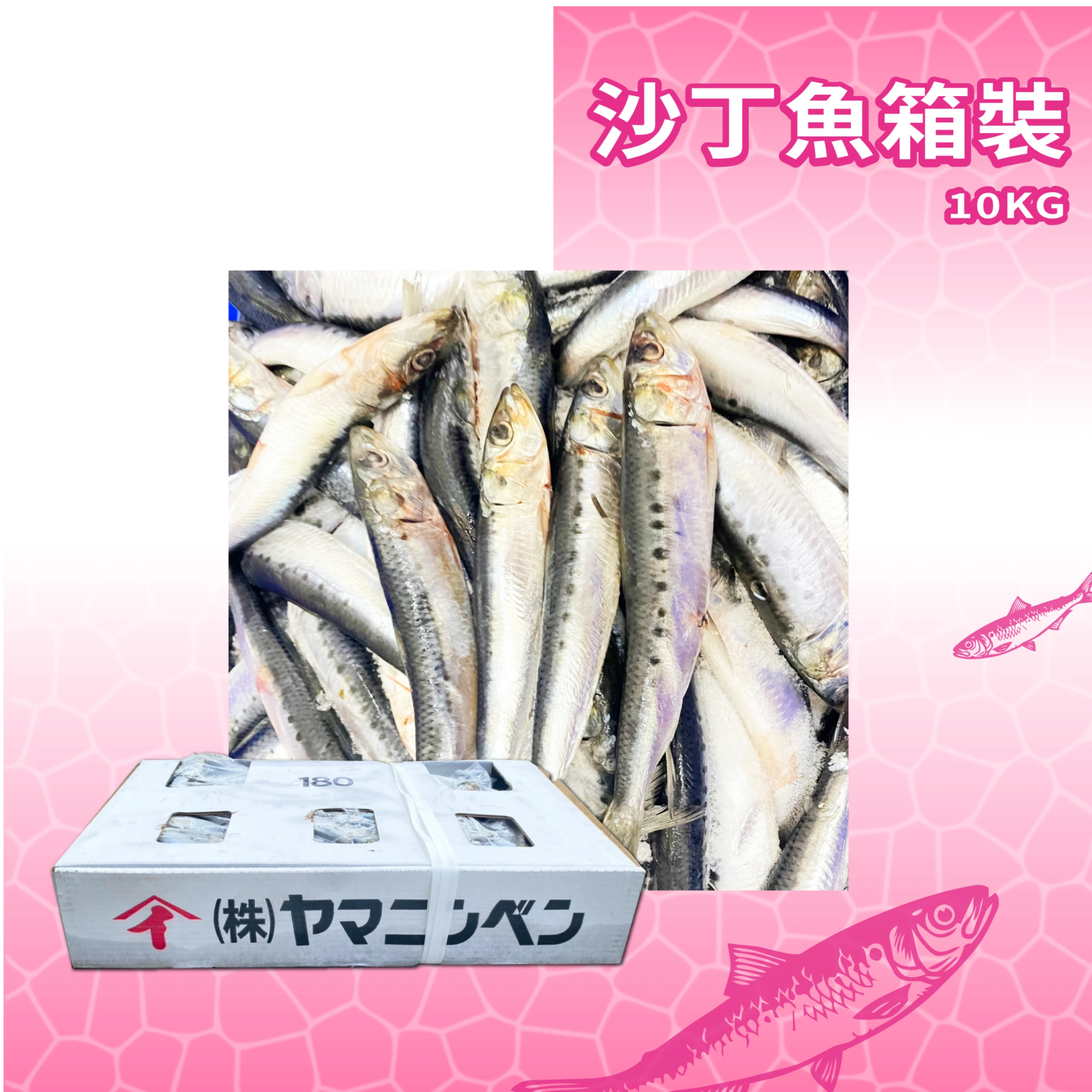 【生牌南極蝦】日本沙丁魚 10kg