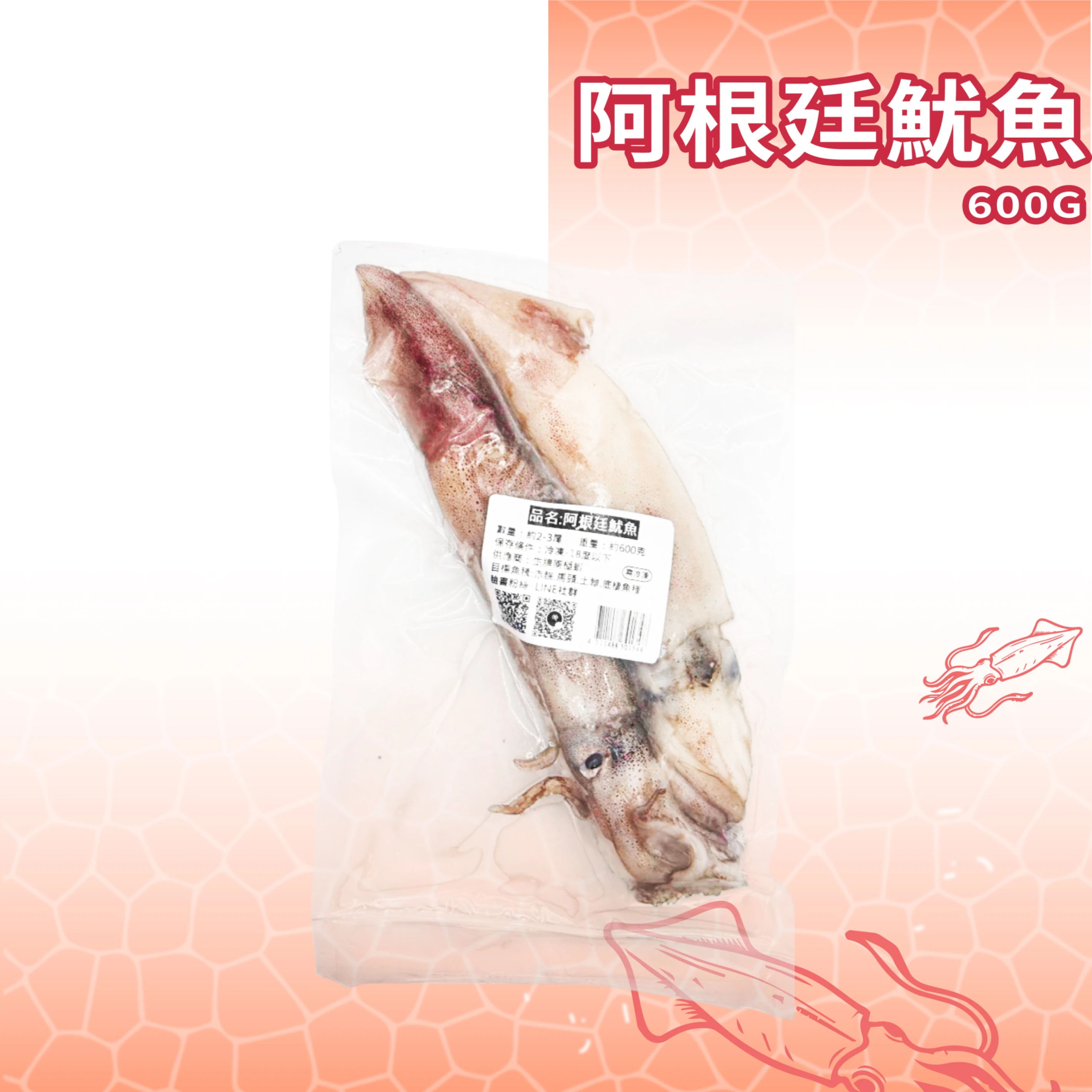 【生牌南極蝦】魷魚 真空裝