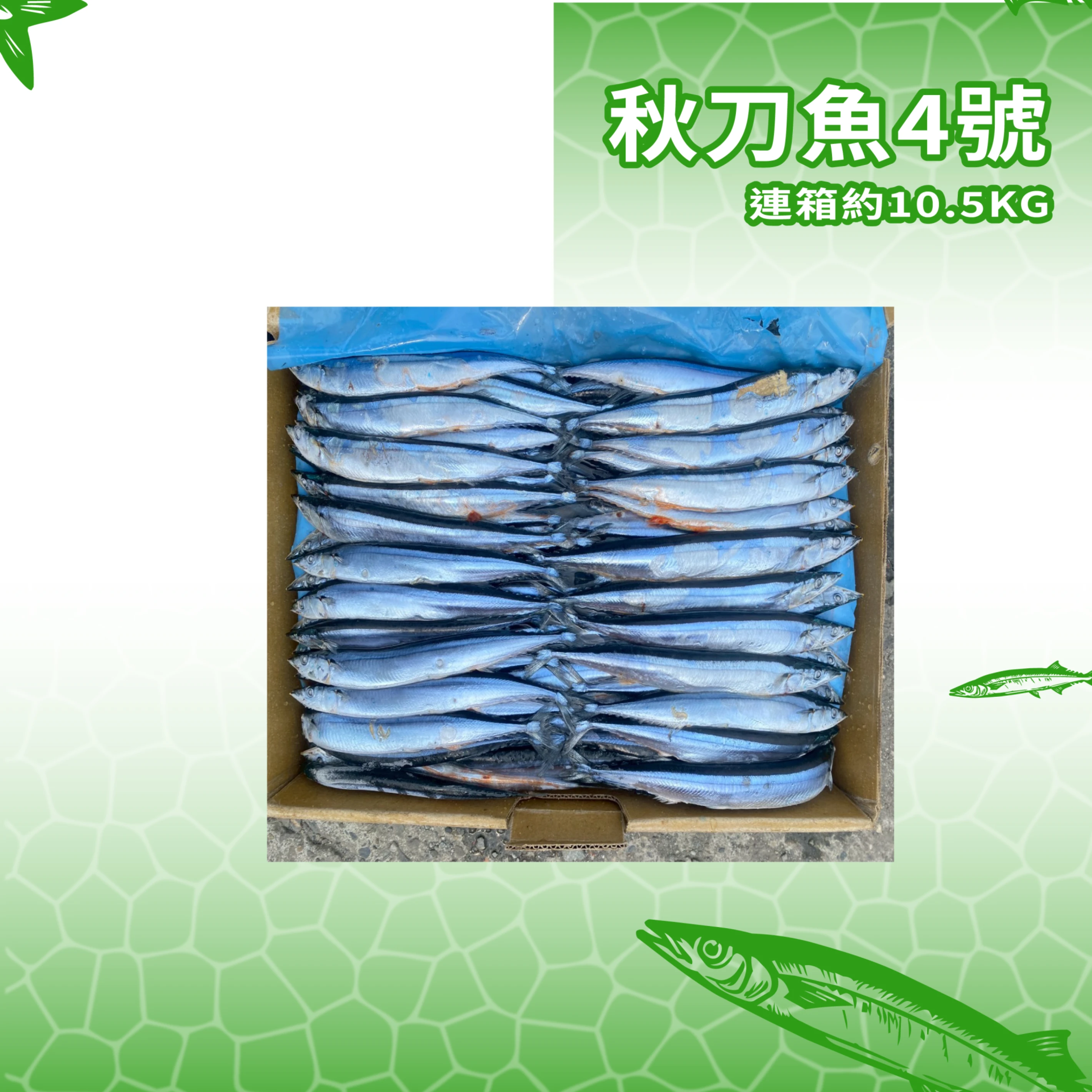 【生牌南極蝦】秋刀魚4號