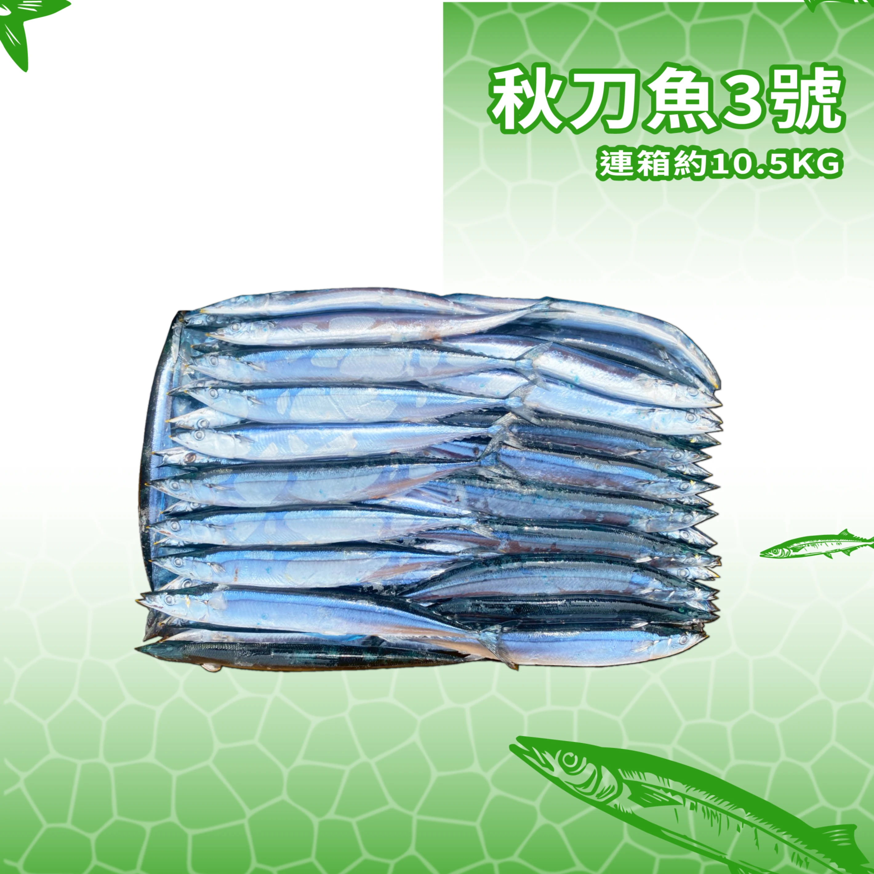 【生牌南極蝦】秋刀魚3號