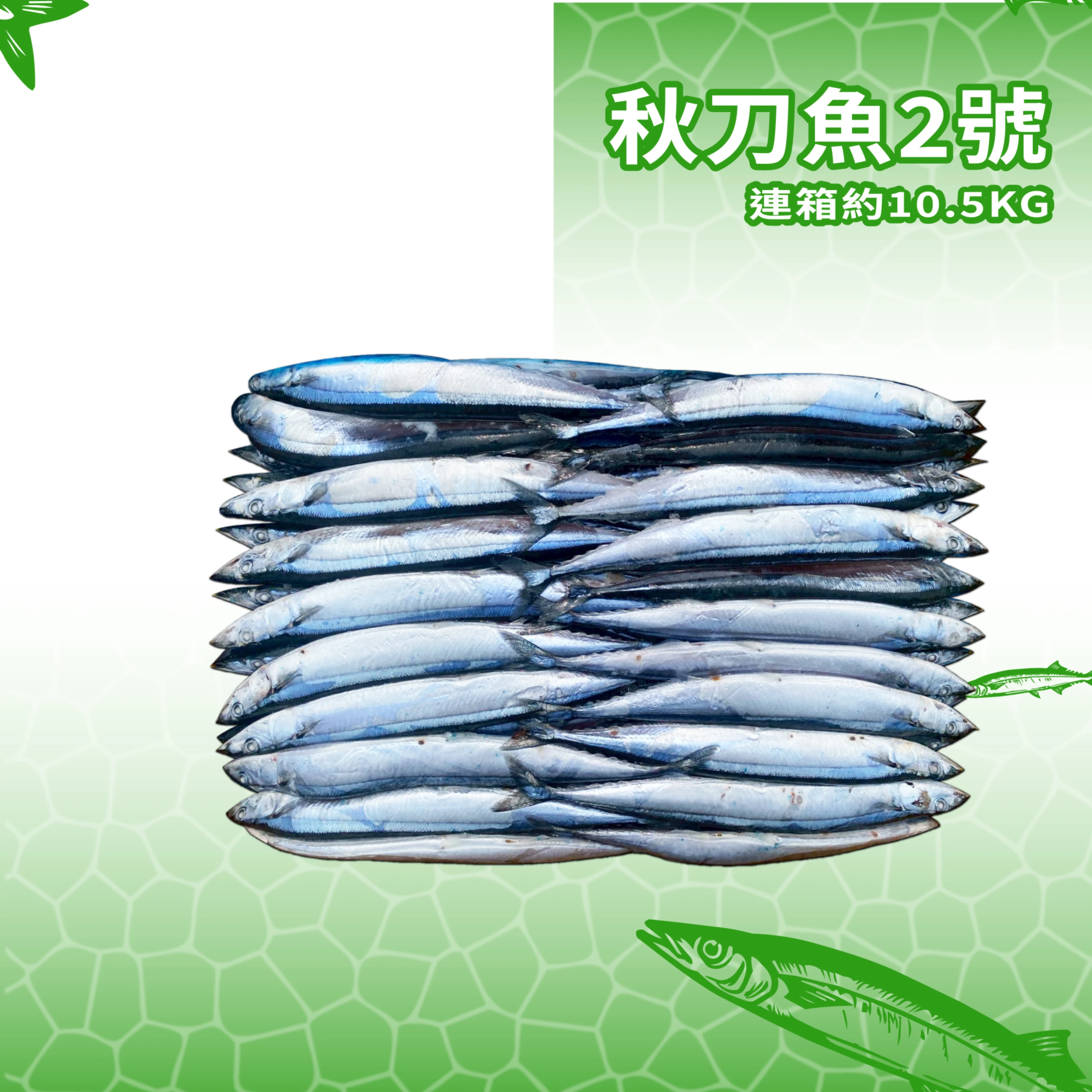 【生牌南極蝦】秋刀魚2號