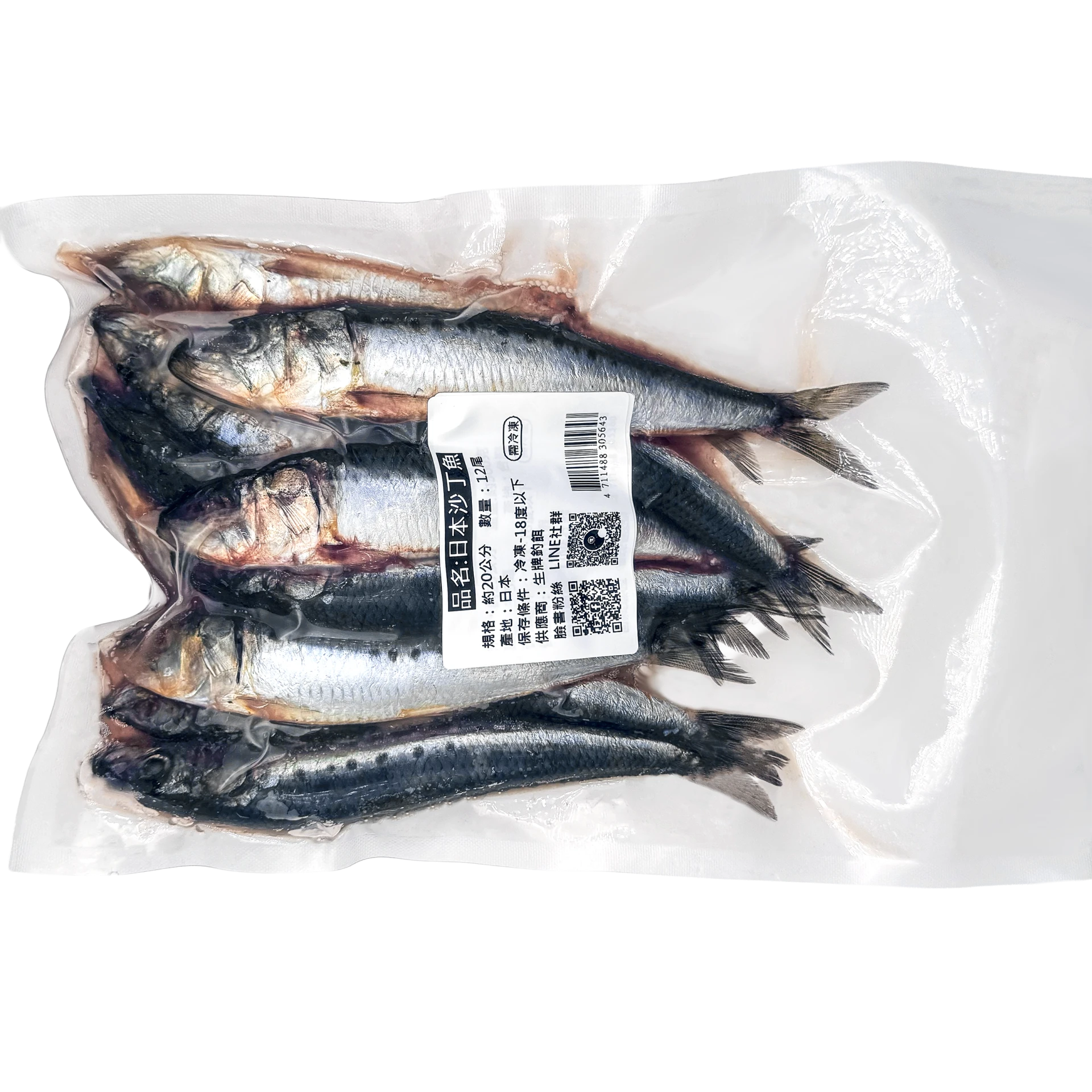 【日本沙丁魚】日本沙丁魚