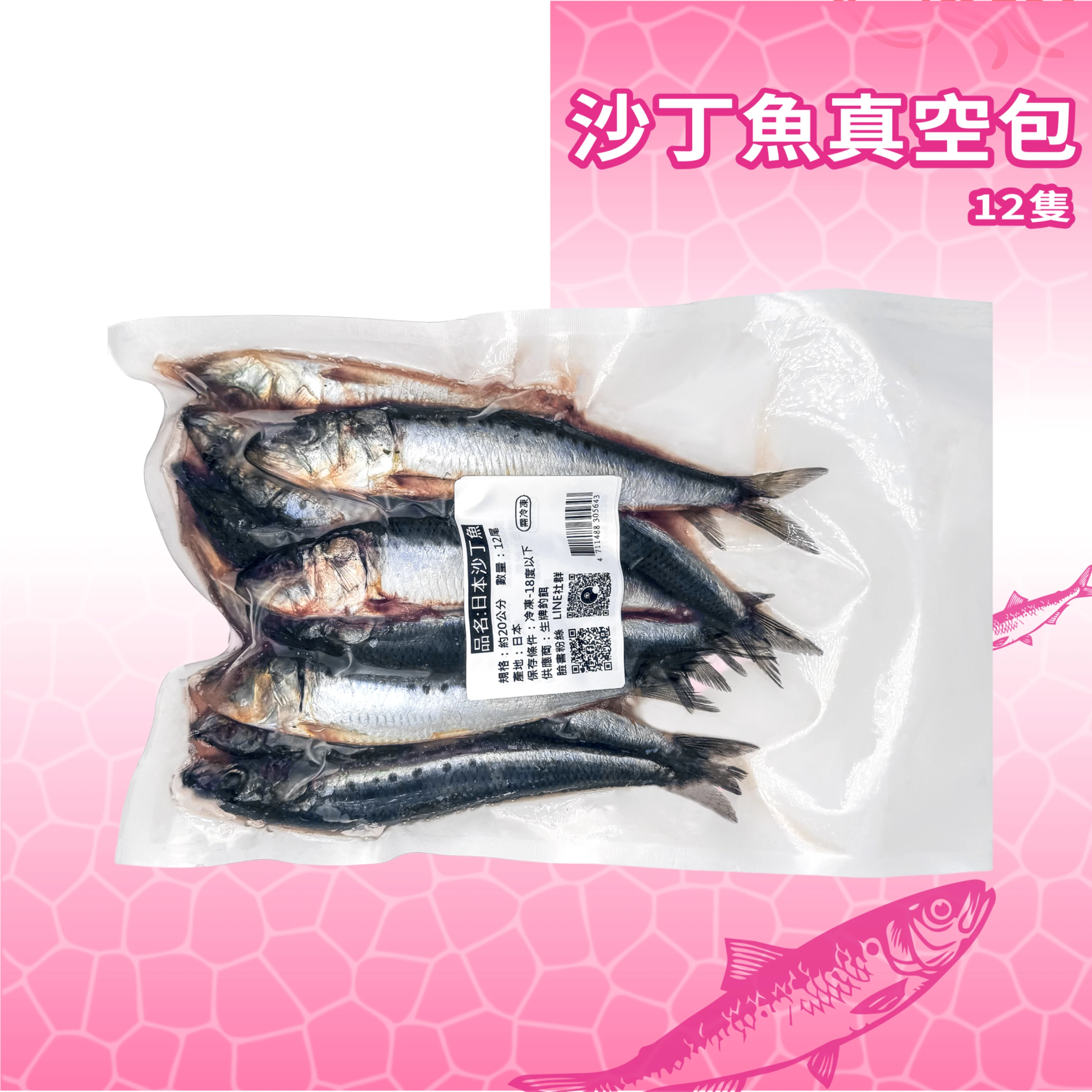【日本沙丁魚】日本沙丁魚