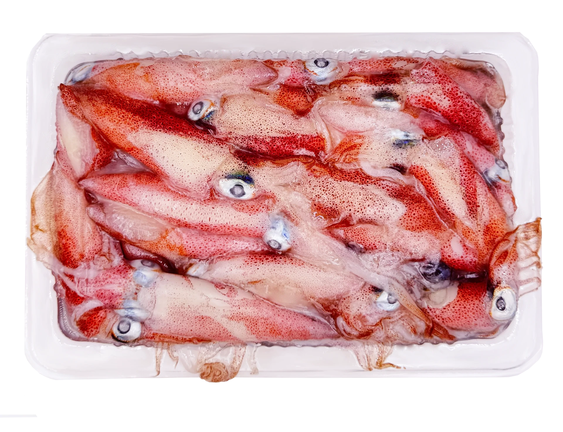 【生牌南極蝦】小卷-咪 300g