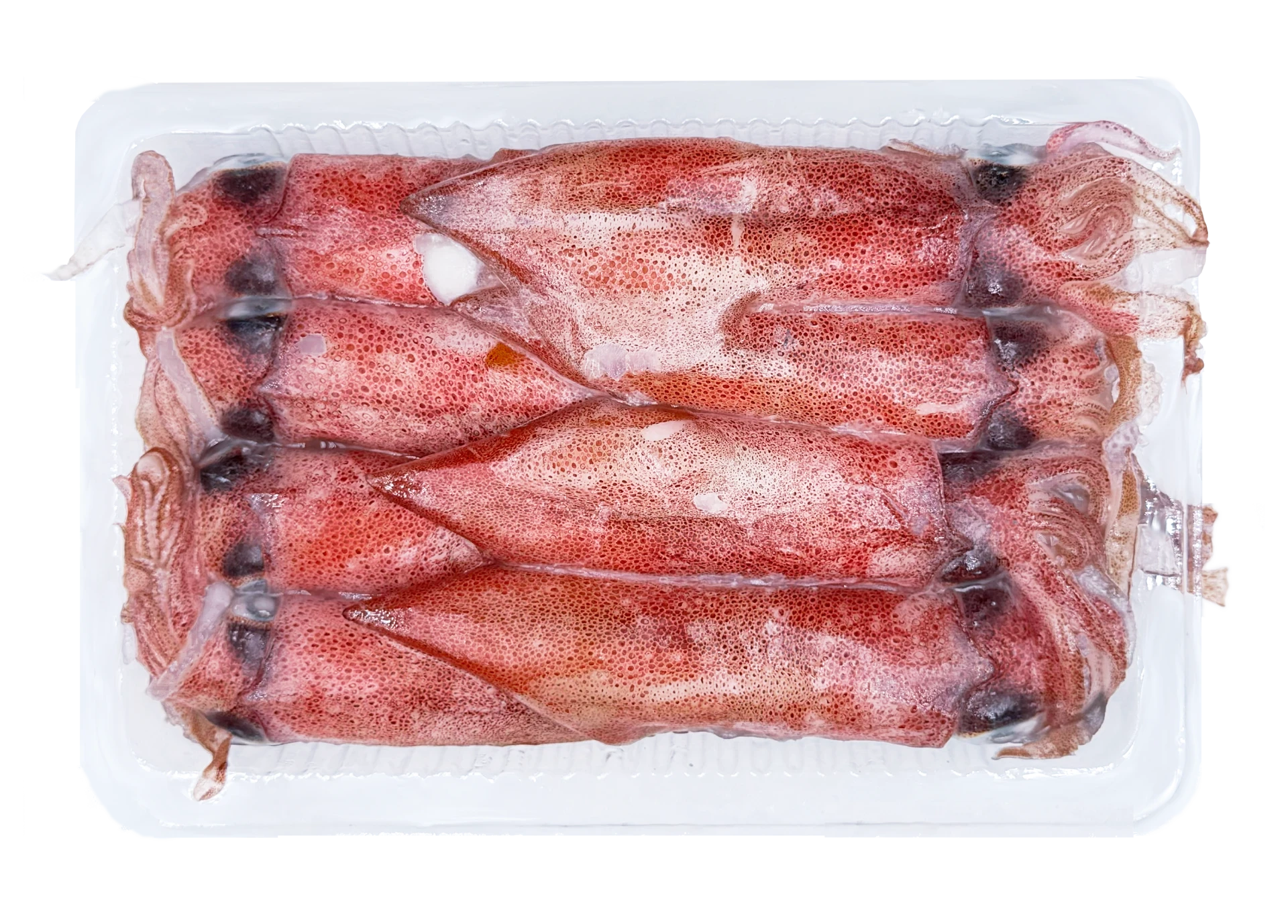 【生牌南極蝦】小卷-2排 300g