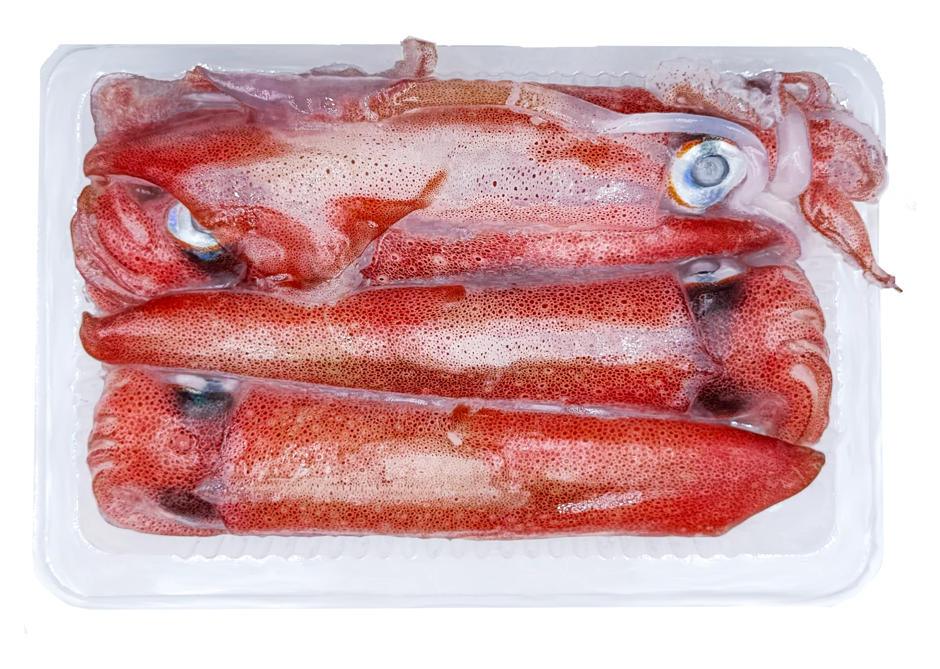 【生牌南極蝦】小卷-1排 300g