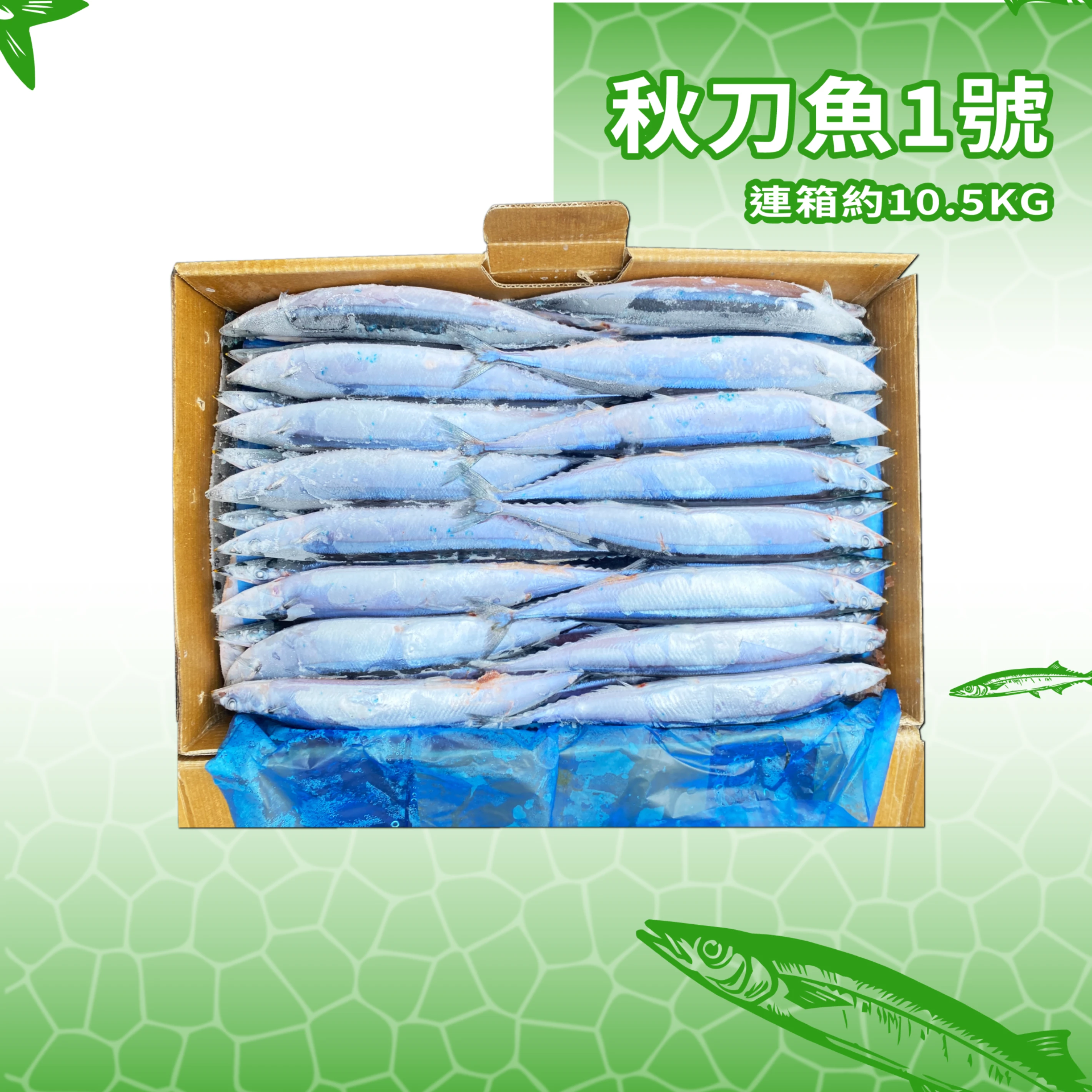 【生牌南極蝦】秋刀魚1號(2025年產)