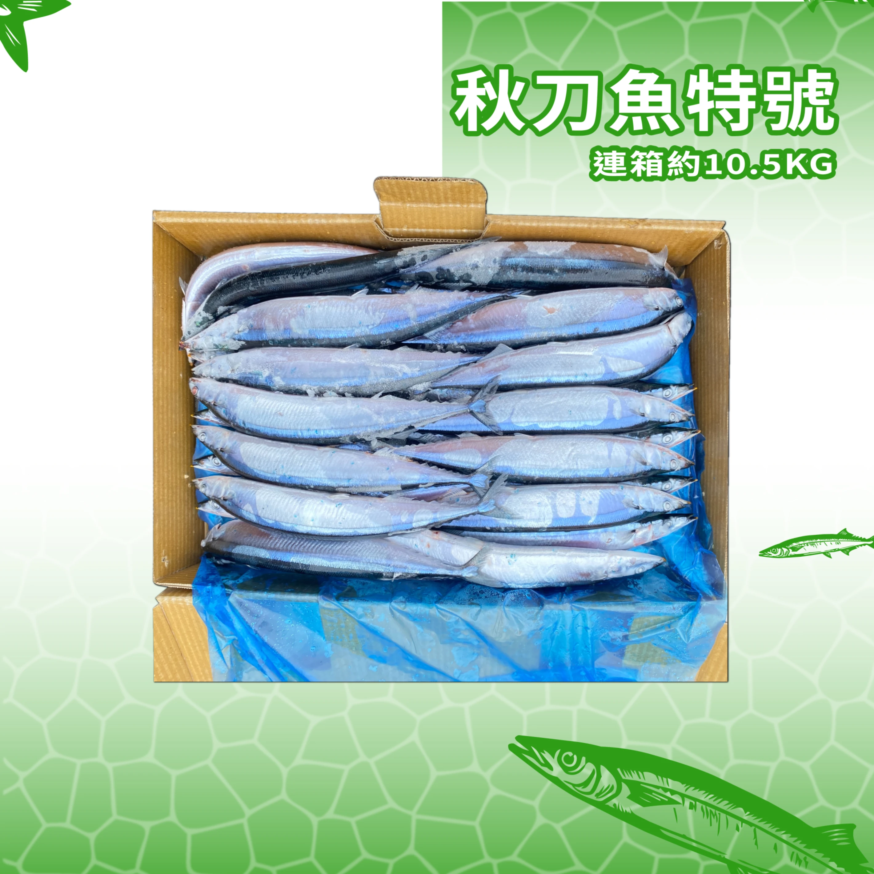 【生牌南極蝦】秋刀魚特號(2025年產)