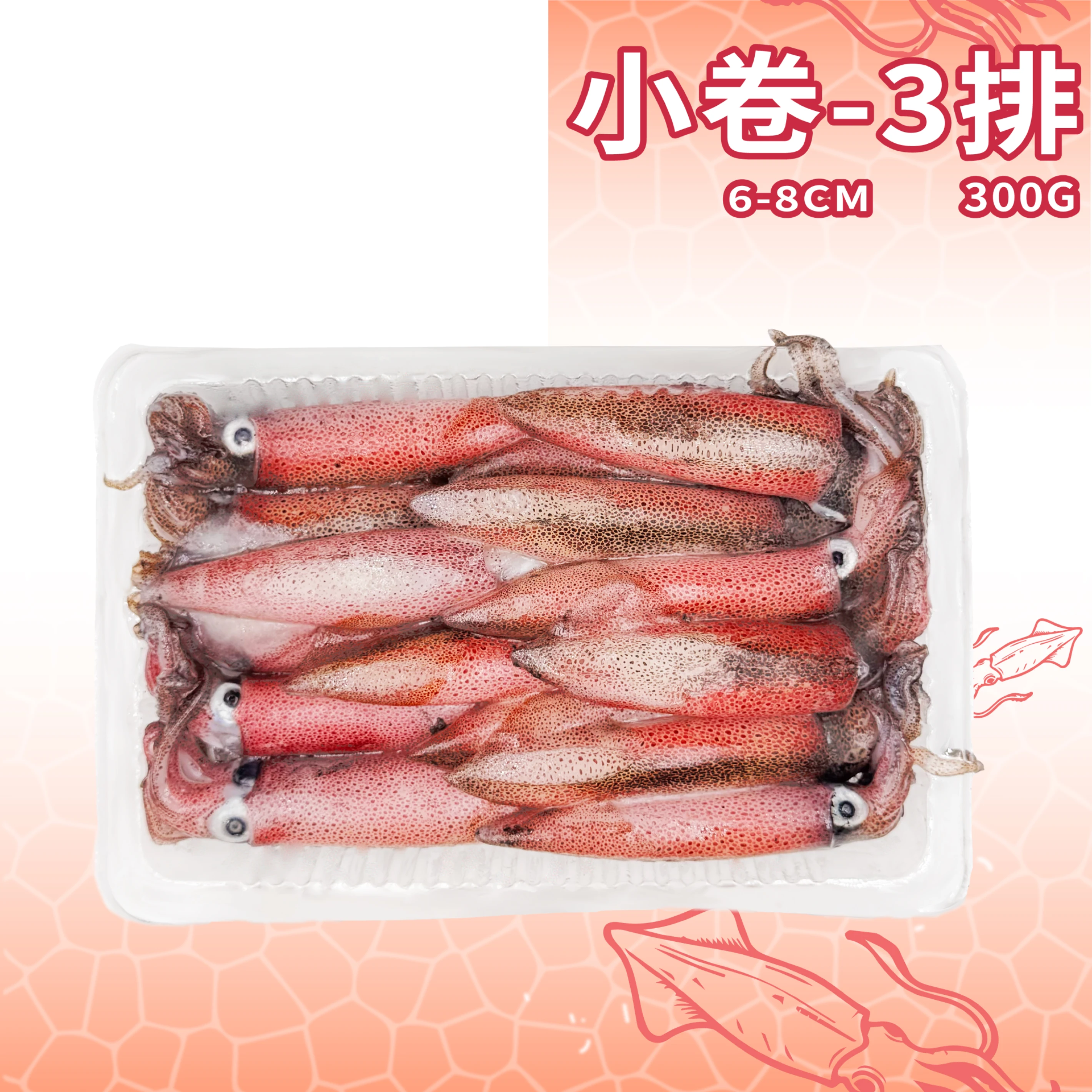 【生牌南極蝦】小卷-3排 300g