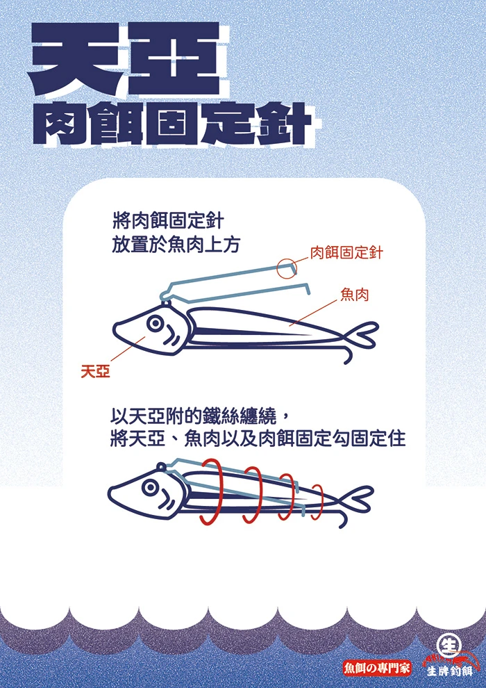 【生牌南極蝦】秋刀魚特號(2025年產)