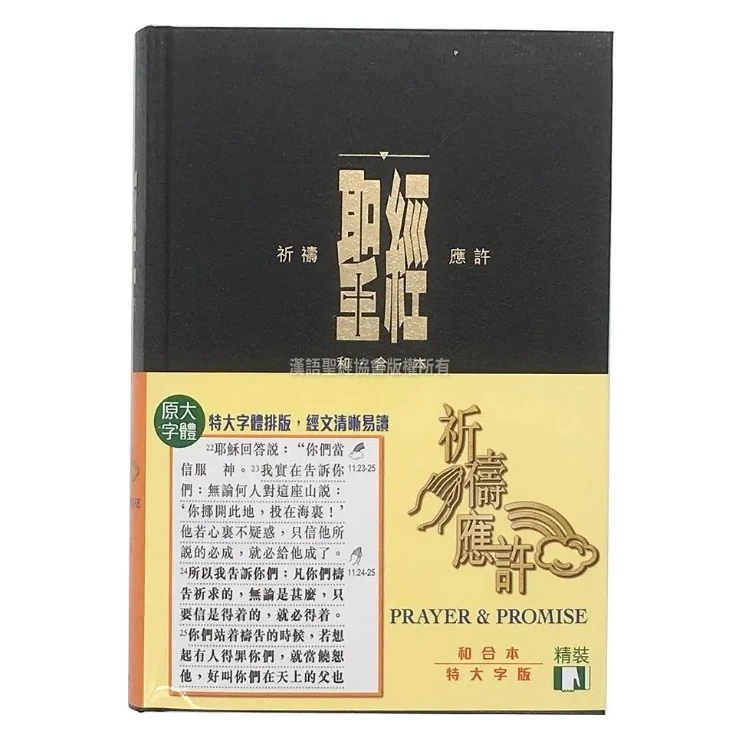 大字金邊版 和合本聖經 Bible 教會標準本 標示祈禱 & 應許經文 Chineseb Holy
