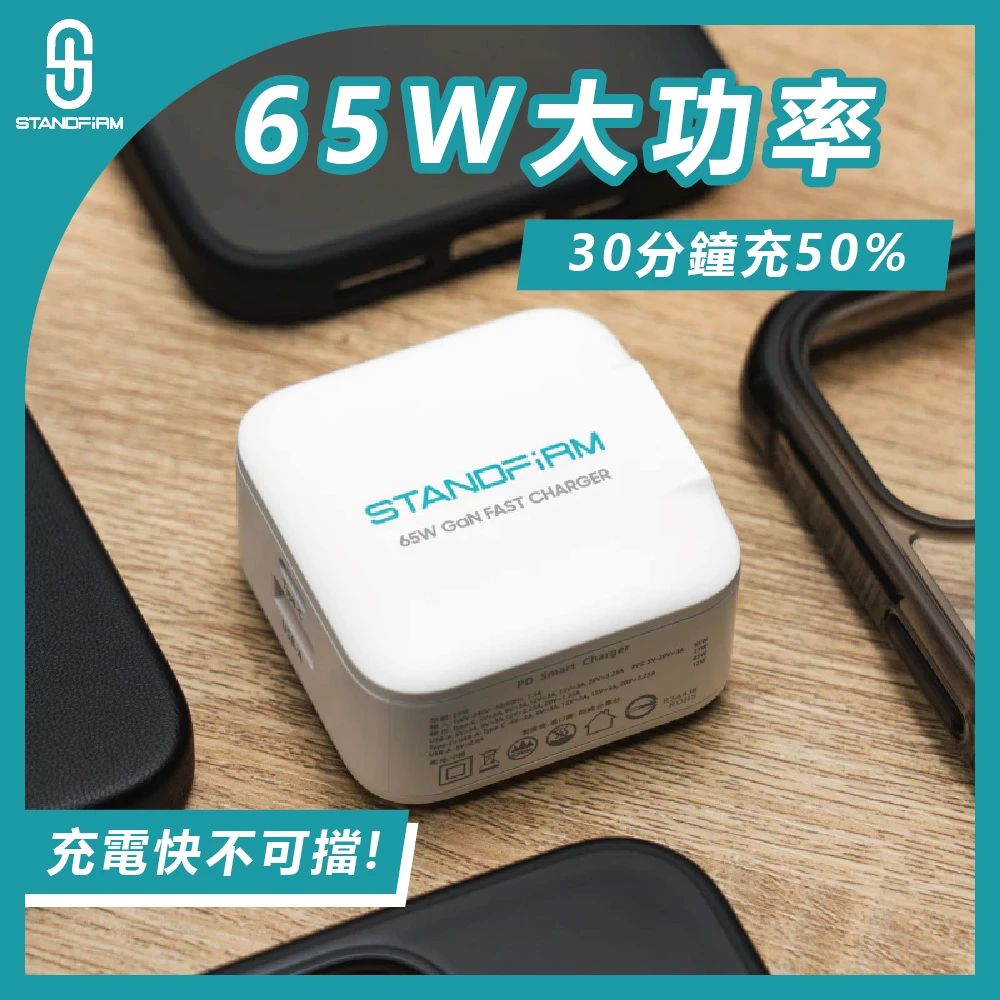 65W 1A+1C 雙孔充電頭
