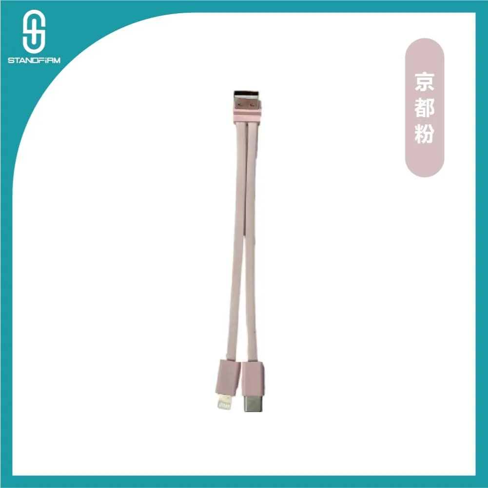 出國旅遊必備二合一充電線 USB-A + Type c / lightning 快充線 傳輸線 充電線 短線
