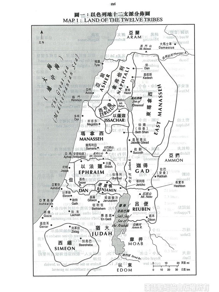 漢語聖經協會 中英聖經 和合本．NIV