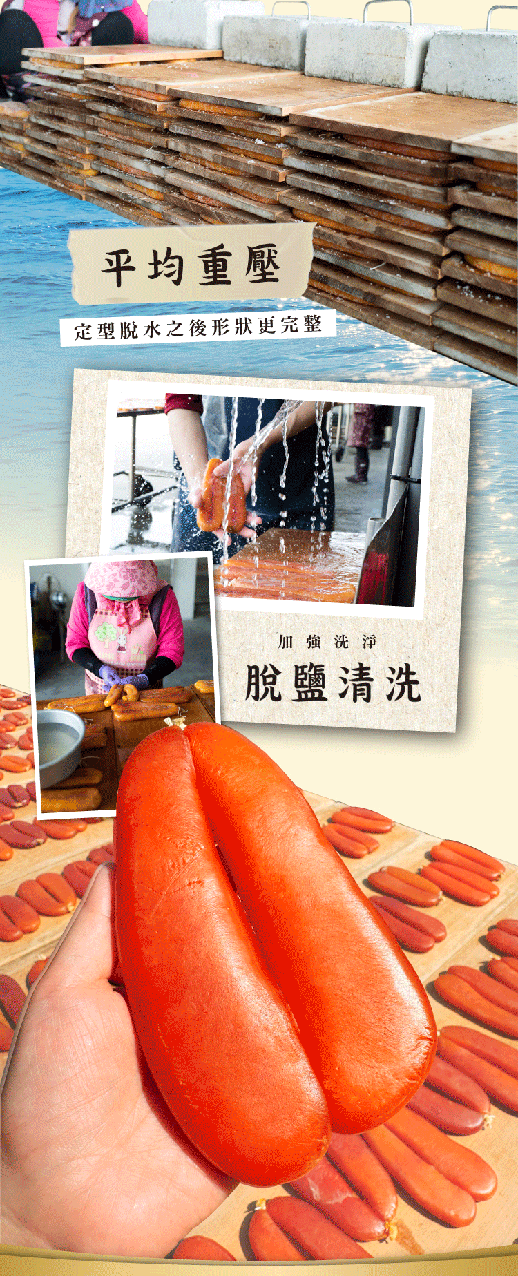 海濤客 家庭包 一口烏魚子