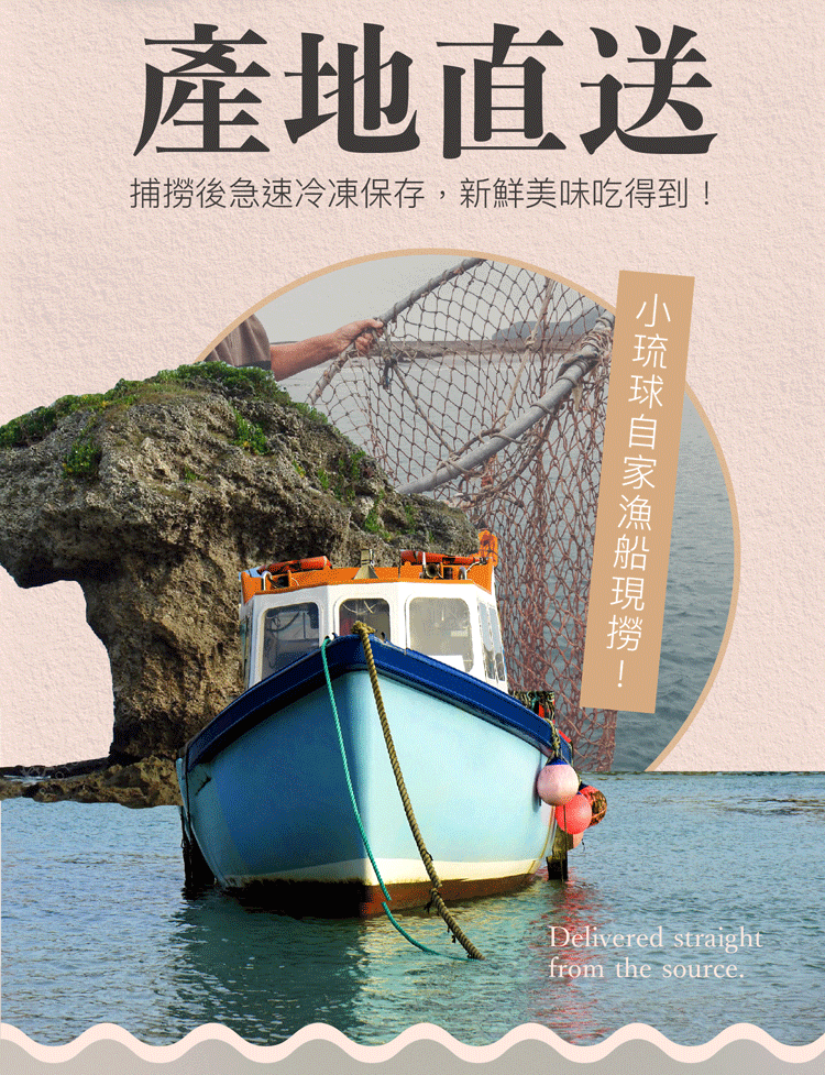 海濤客 碳烤魷魚片