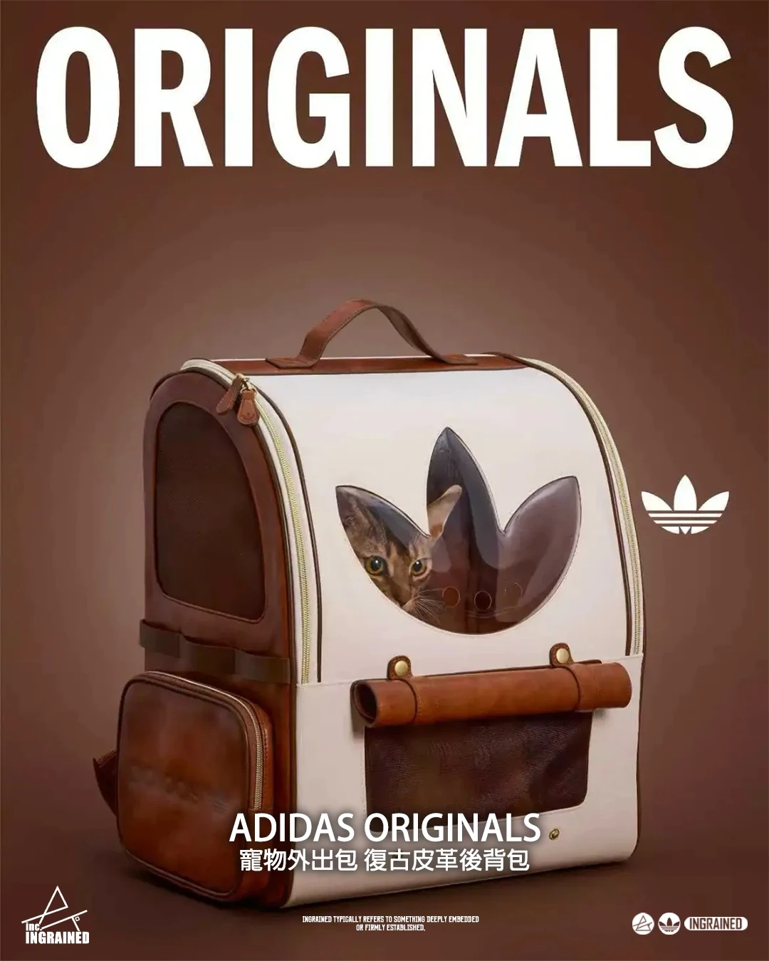 Adidas Originals 寵物外出包 復古皮革後背包｜毛孩也能走潮流！