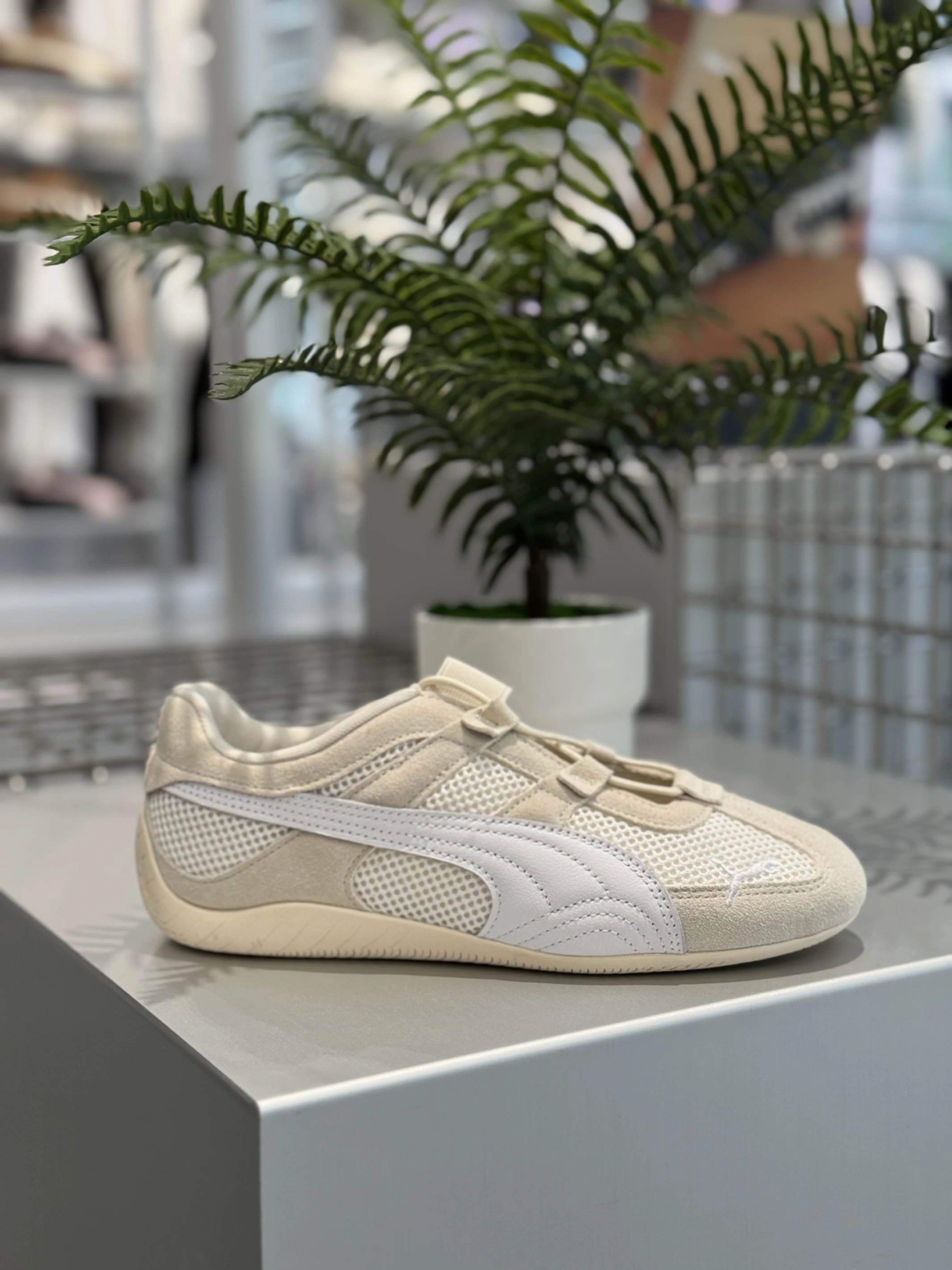 INGRAINED｜Puma Speedcat Go 奶杏色 紫白色 賽車鞋 芭蕾舞鞋 休閒 麂皮 女鞋 403589-04