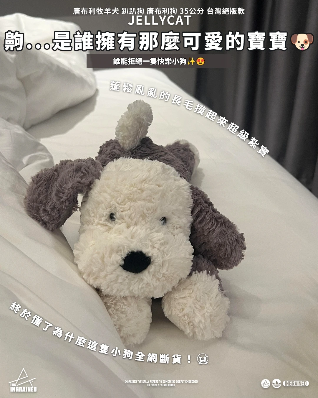 Jellycat｜唐布利牧羊犬 趴趴狗 唐布利狗 35公分 台灣絕版款