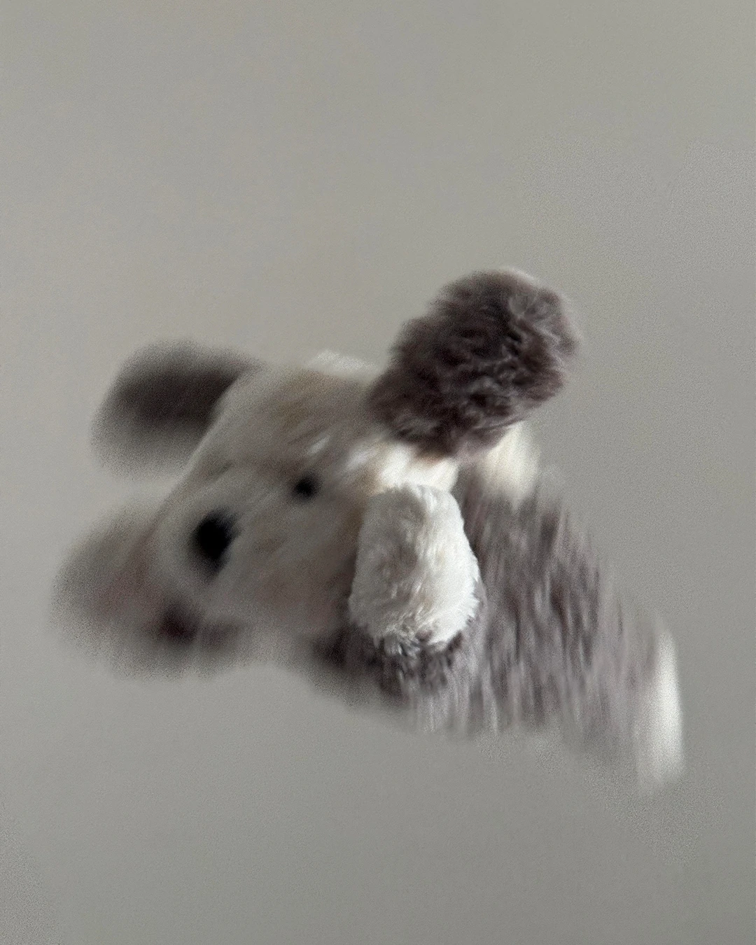 Jellycat｜唐布利牧羊犬 趴趴狗 唐布利狗 35公分 台灣絕版款