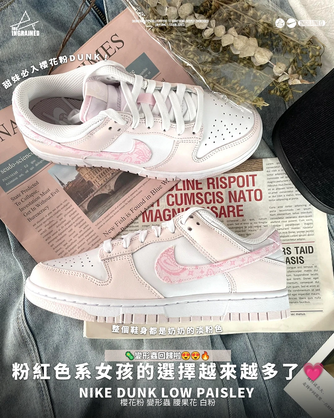 INGRAINED｜Nike Dunk Low Paisley｜櫻花粉 變形蟲 腰果花 白粉 FD1449-100