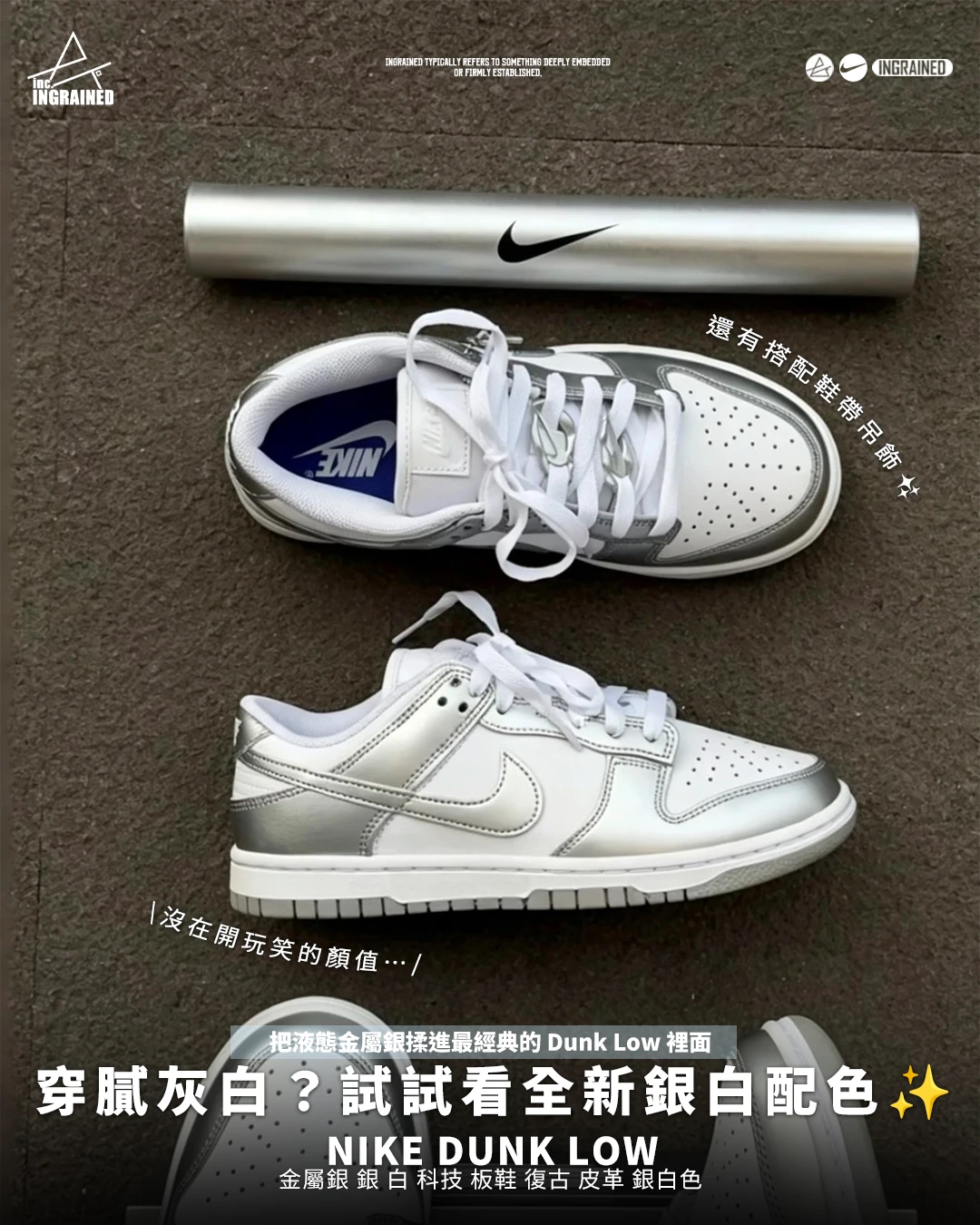 INGRAINED｜NIKE DUNK LOW｜金屬銀 銀 白 科技 板鞋 復古 皮革 銀白色 FV1311-100