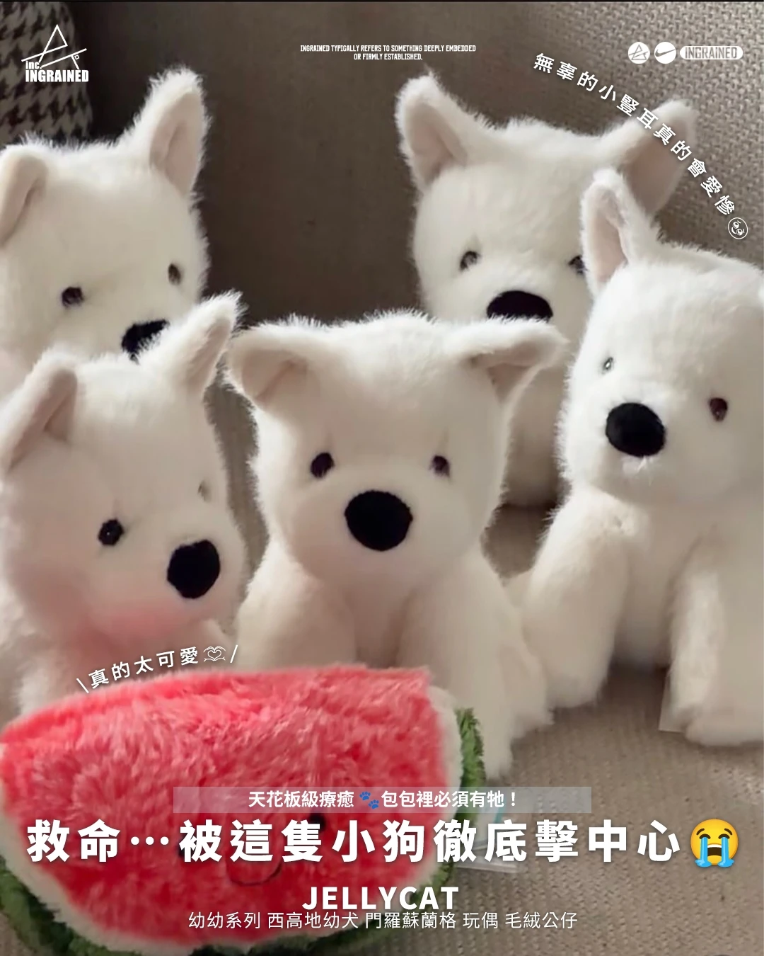 Jellycat ｜ 幼幼系列 西高地幼犬 門羅蘇蘭格 玩偶 毛絨公仔
