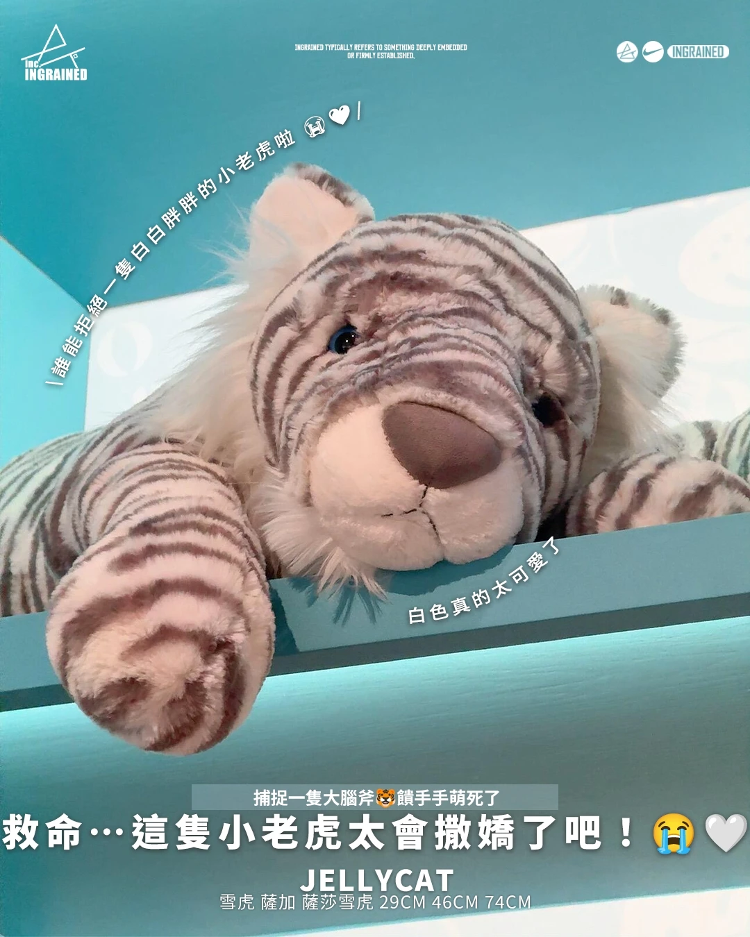 Jellycat｜雪虎 薩加 薩莎雪虎 29cm 46cm 74cm