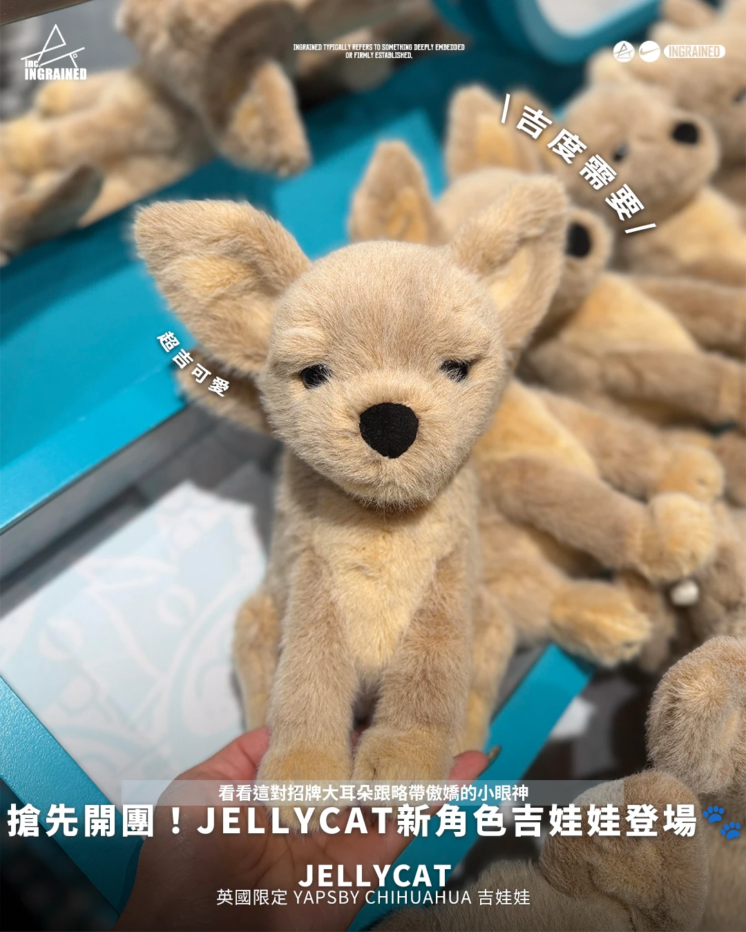 Jellycat｜英國限定 Yapsby Chihuahua 吉娃娃