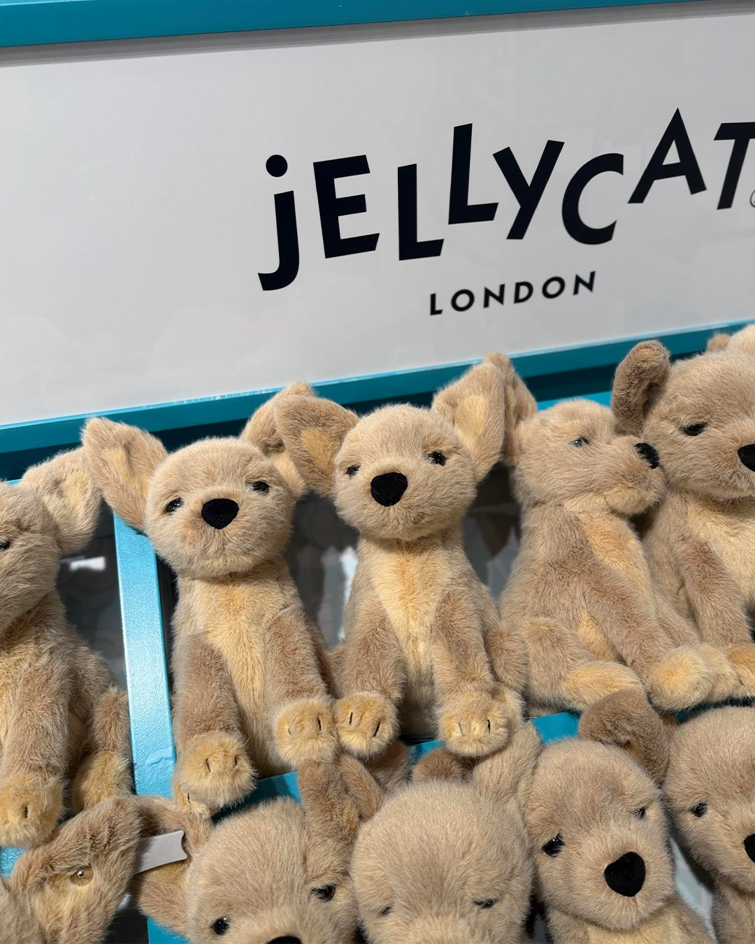 Jellycat｜英國限定 Yapsby Chihuahua 吉娃娃
