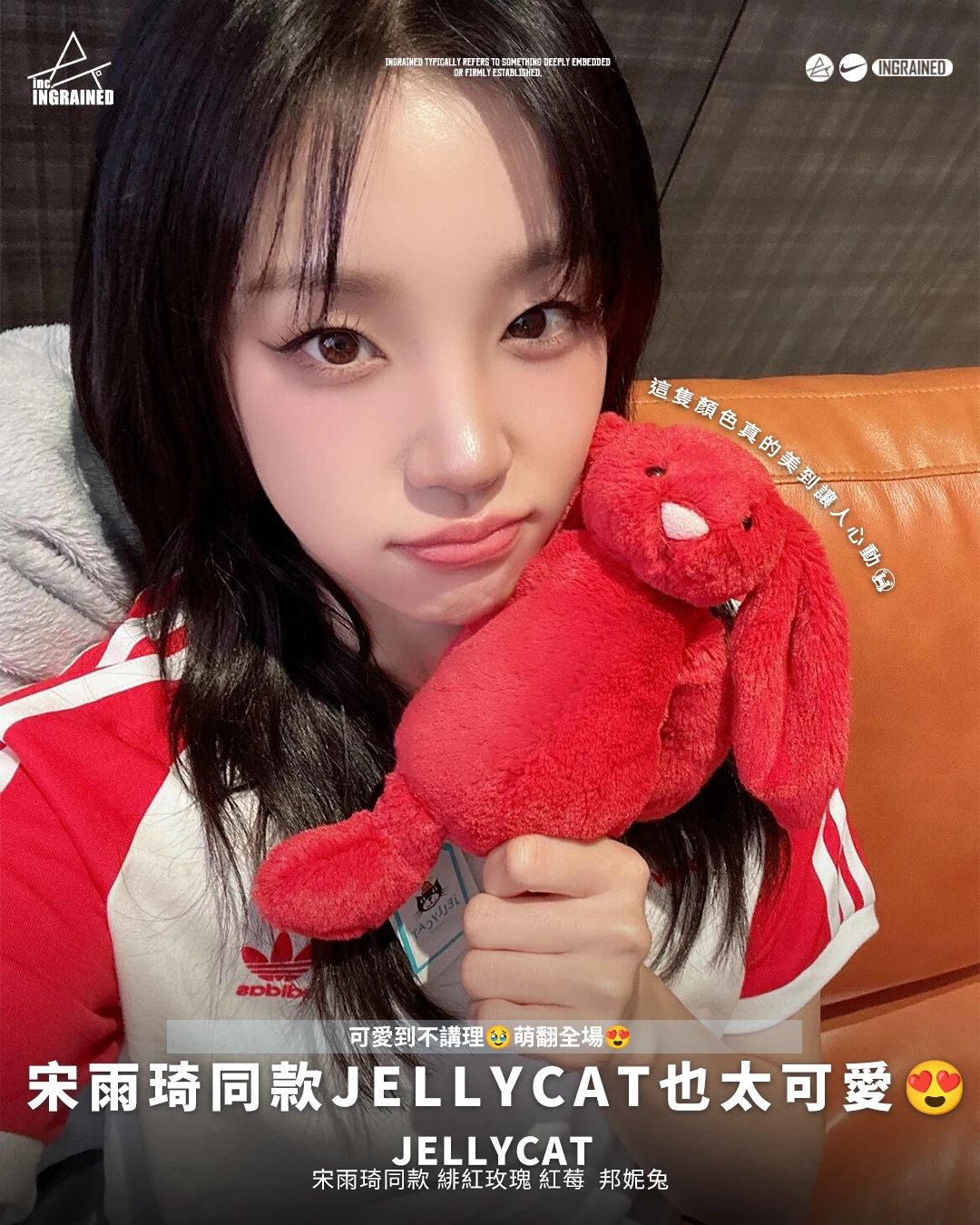 Jellycat｜宋雨琦同款 緋紅玫瑰 紅莓  邦妮兔