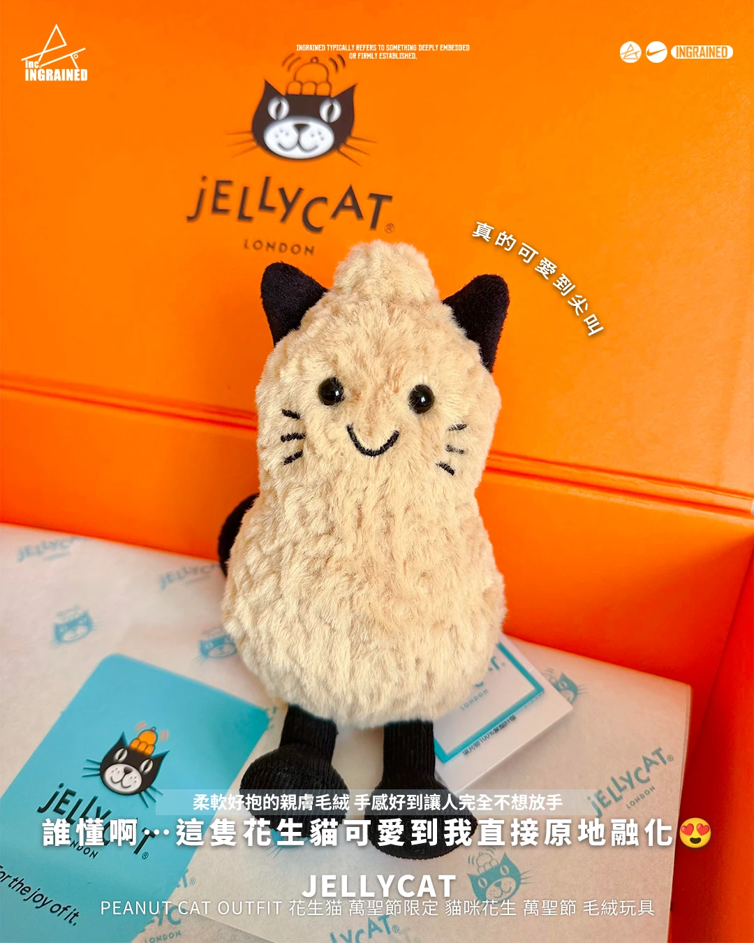 Jellycat｜Peanut Cat Outfit 花生猫 萬聖節限定 貓咪花生 萬聖節 毛絨玩具 15cm